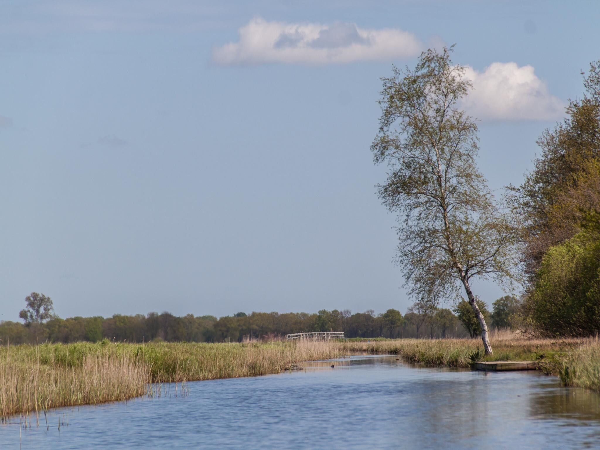 De omgeving van Groepsruimte i.c.m. 4 tiny greenhouses in Scherpenzeel (FR)