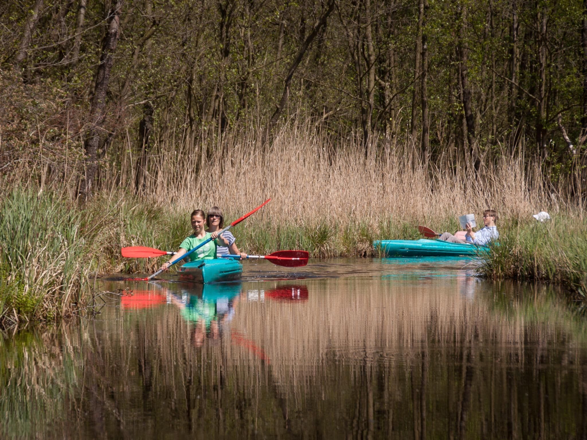 Groepsruimte i.c.m. 4 tiny greenhouses in Scherpenzeel (FR) - Foto 33 van 35