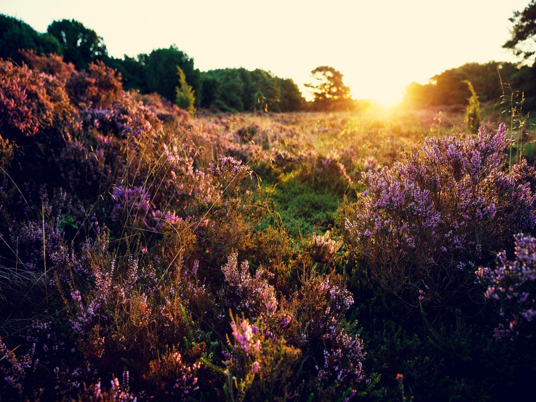 Draagsteen Outdoor Wellness in TA Gasselte - Foto 14 van 18