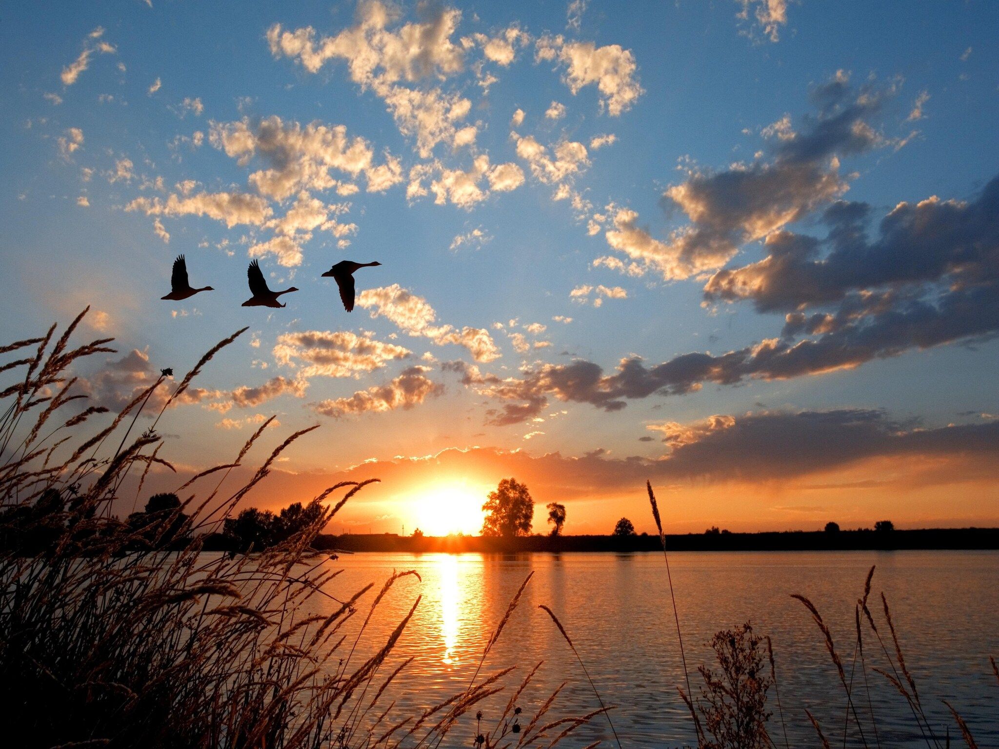 De omgeving van Regthuys Binnen in PS Opperdoes