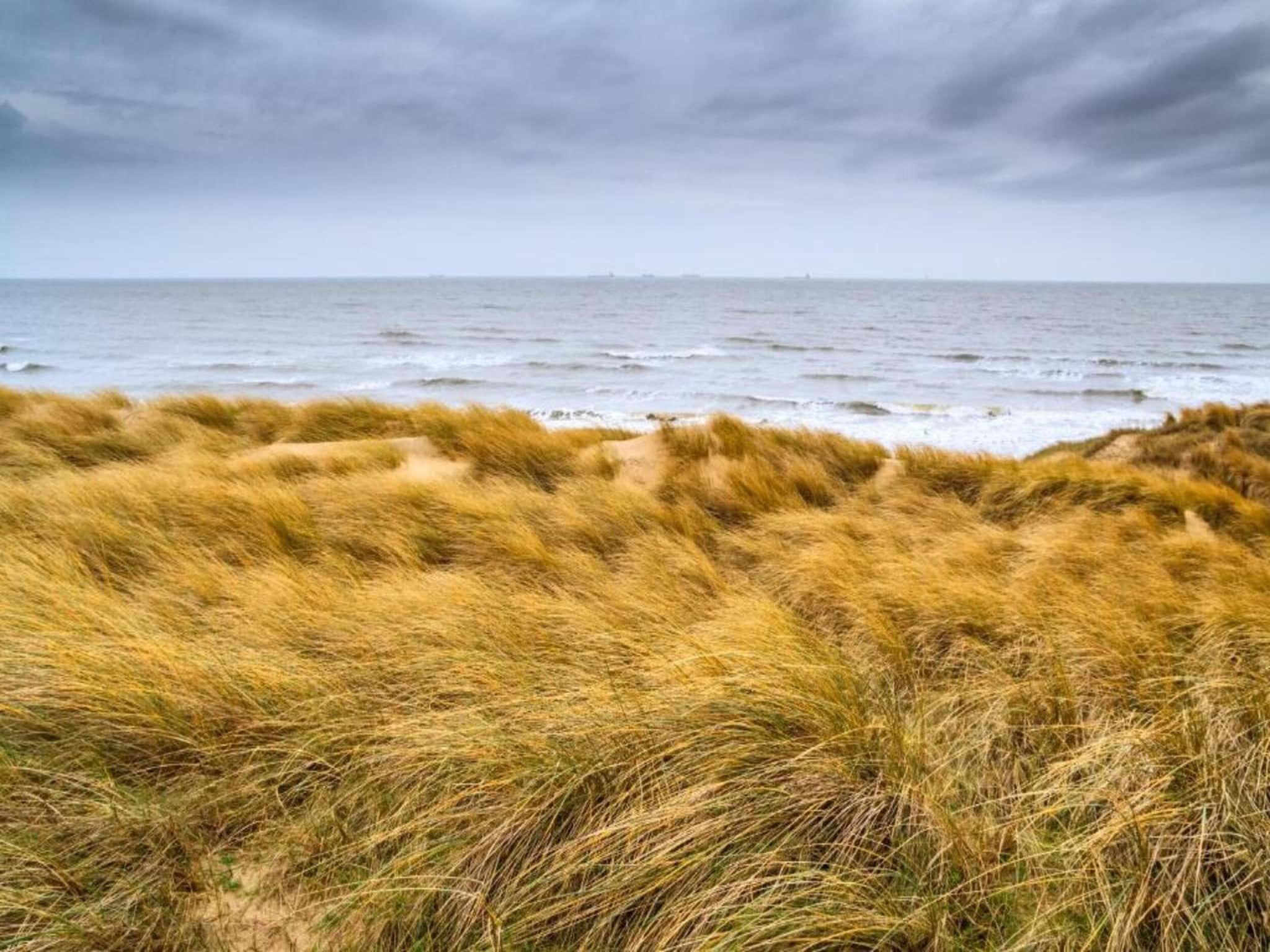 Vakantiepark Kijkduin 6 in Den Haag - Foto 39 van 41
