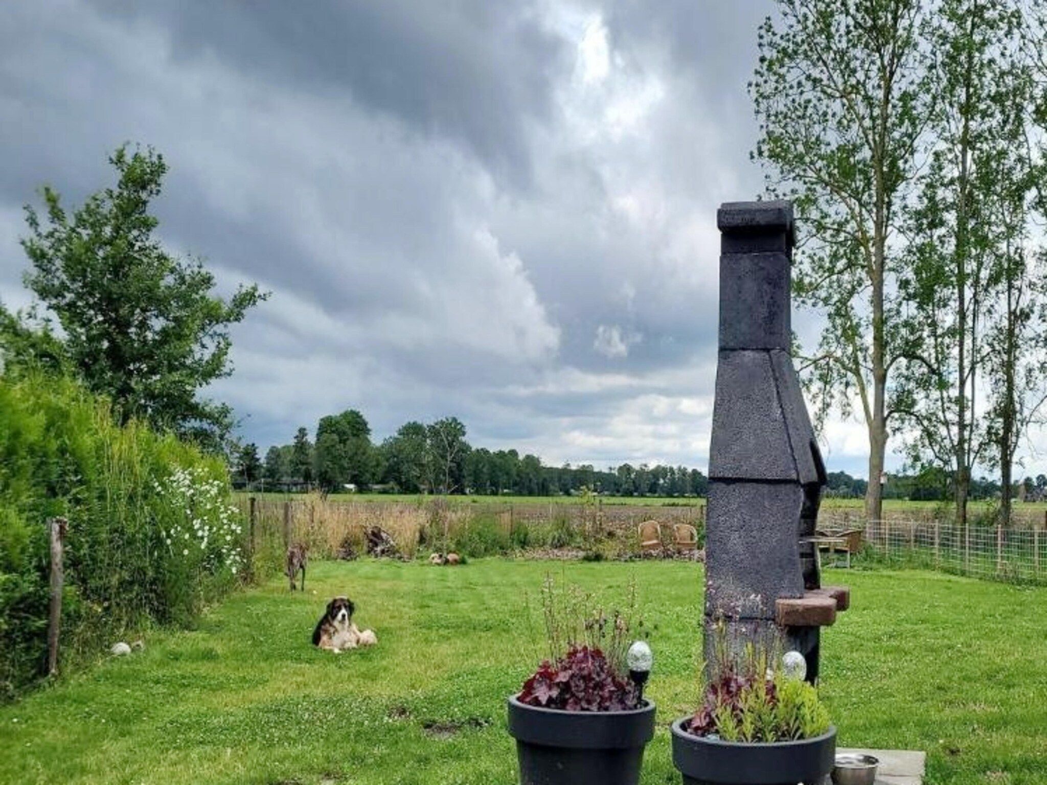 De tuin van 6 - Person Forest Pet & Family Bungalow in Ewijk