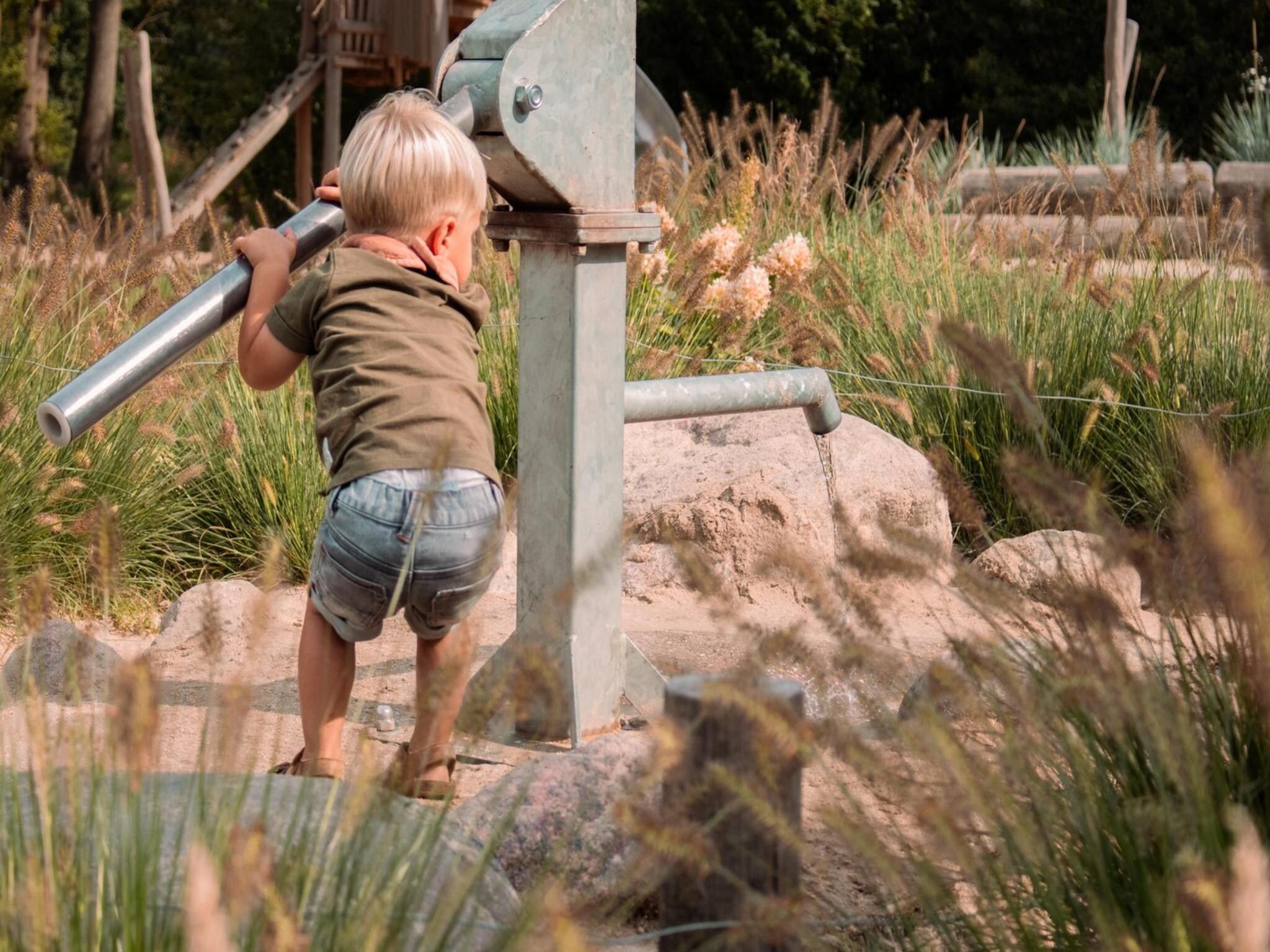 Parkfaciliteiten bij Safari tent l 7 persoons in Balkbrug