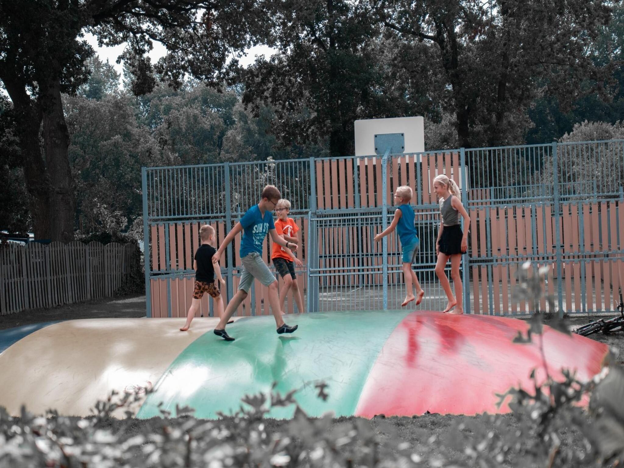 Parkfaciliteiten bij Safari tent l 7 persoons in Balkbrug