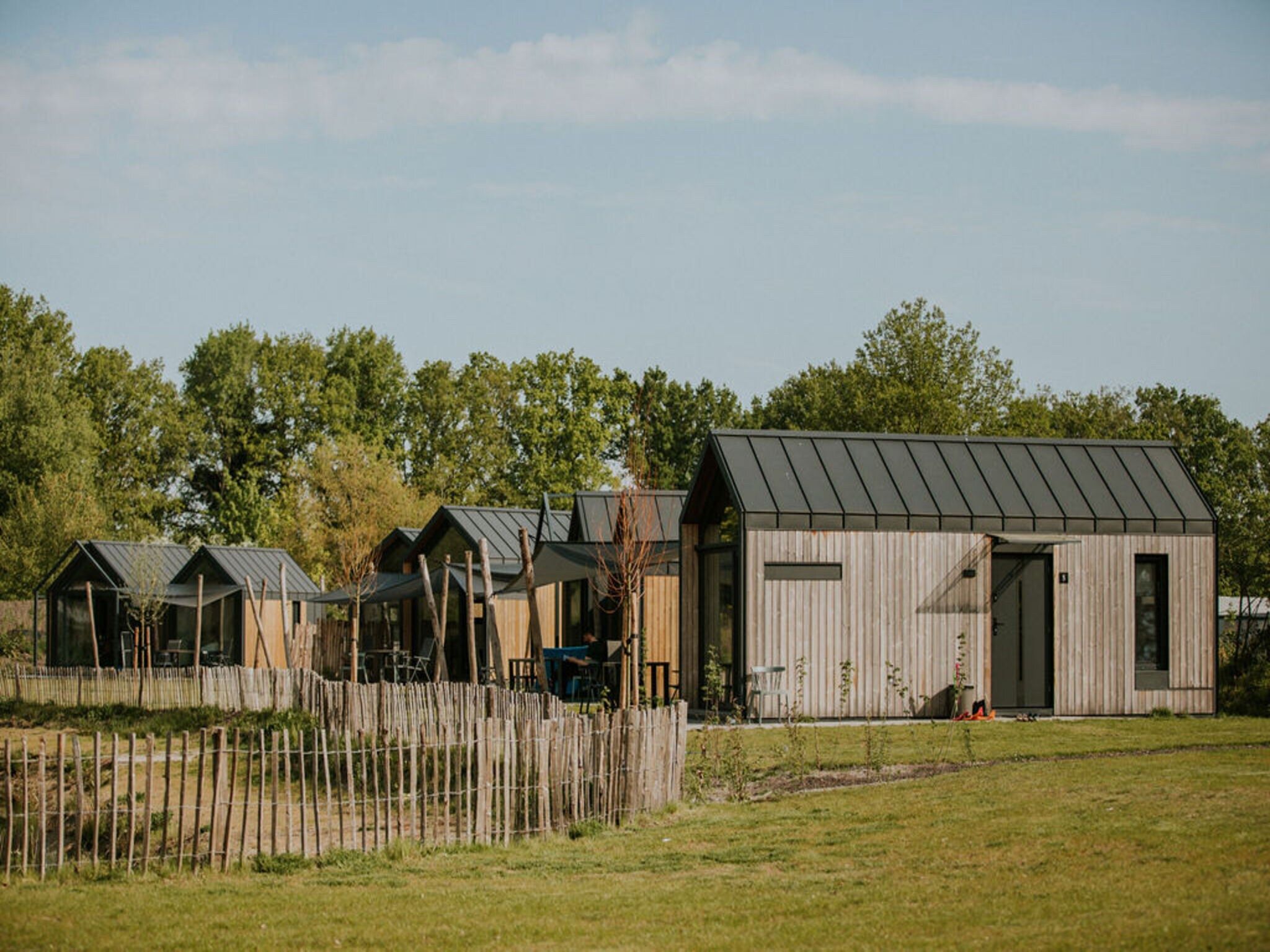 De tuin van Cosy house | 4 persoons in Balkbrug