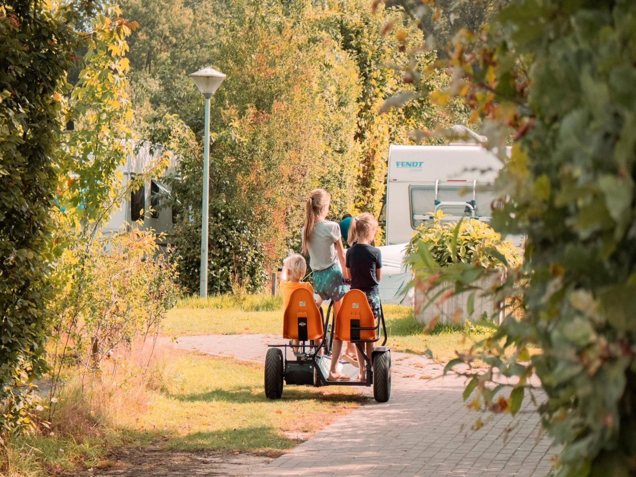 Parkfaciliteiten bij Cosy Lodge | 6 persoons in Balkbrug