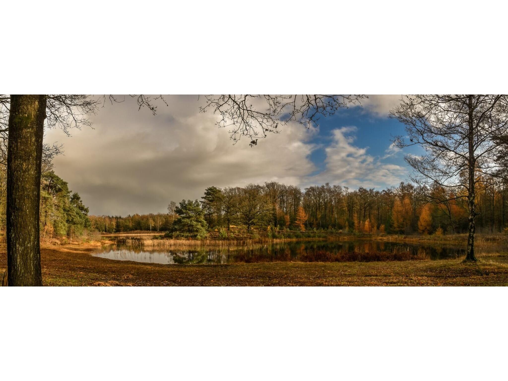 Reestdal lodge | 6 persoons in Balkbrug - Foto 33 van 36