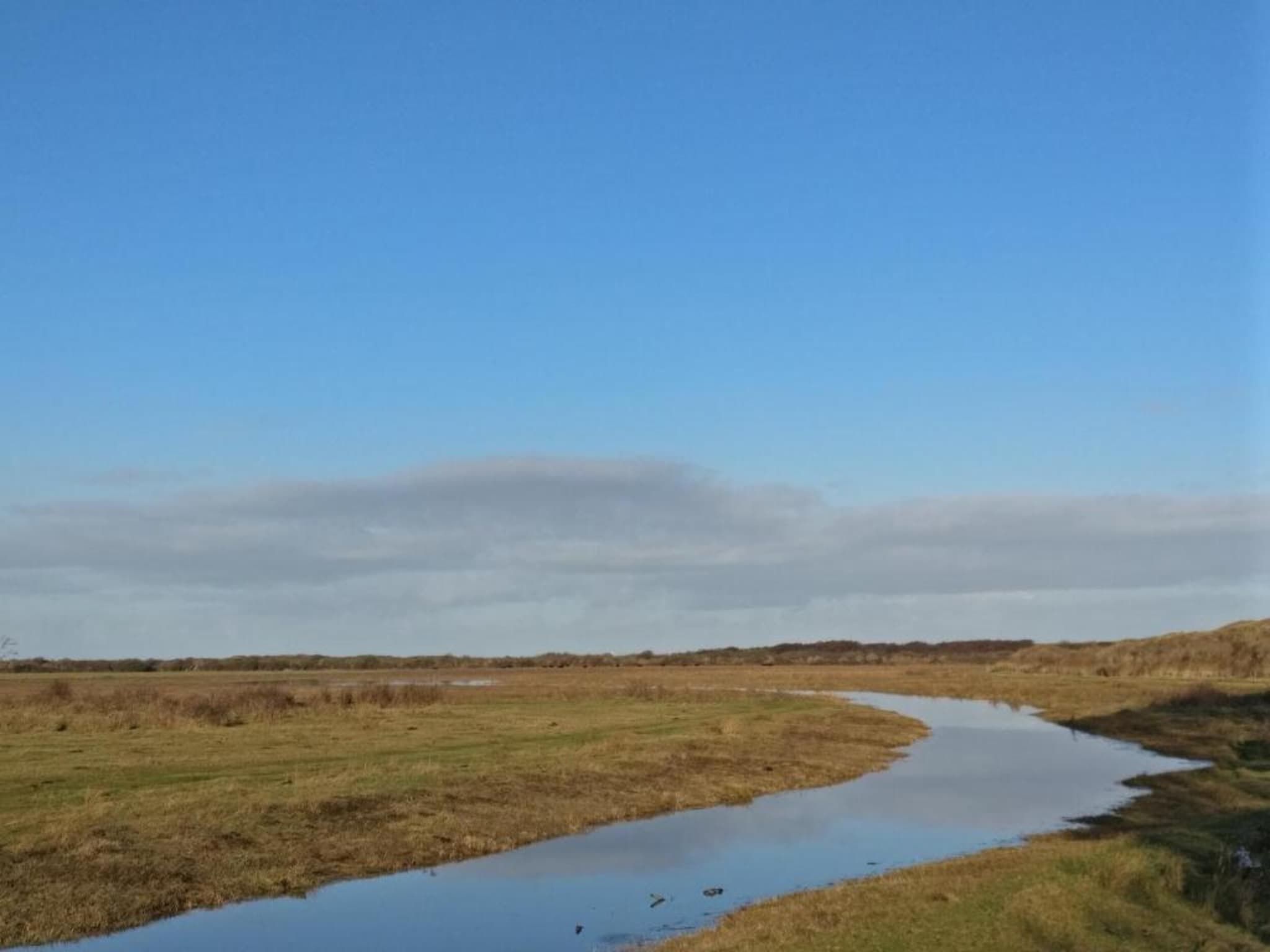 Kustpark Texel 6 in De Koog - Foto 37 van 40