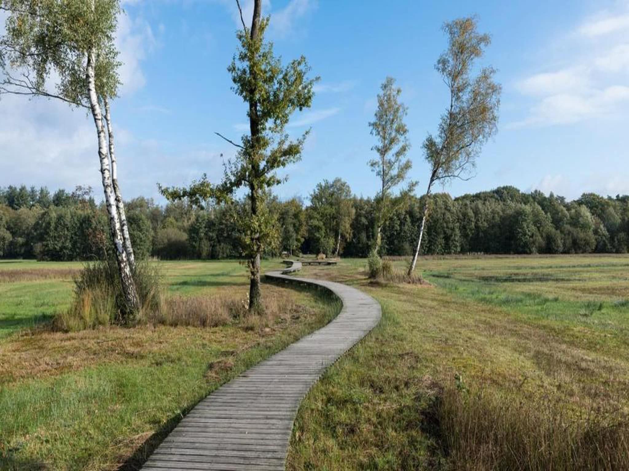 Bospark de Schaapskooi 8 in Wissel/Epe - Foto 32 van 39