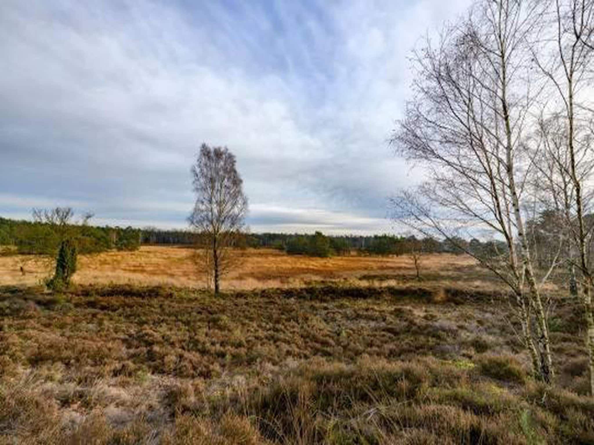 Bospark de Schaapskooi 5 in Wissel/Epe - Foto 36 van 39