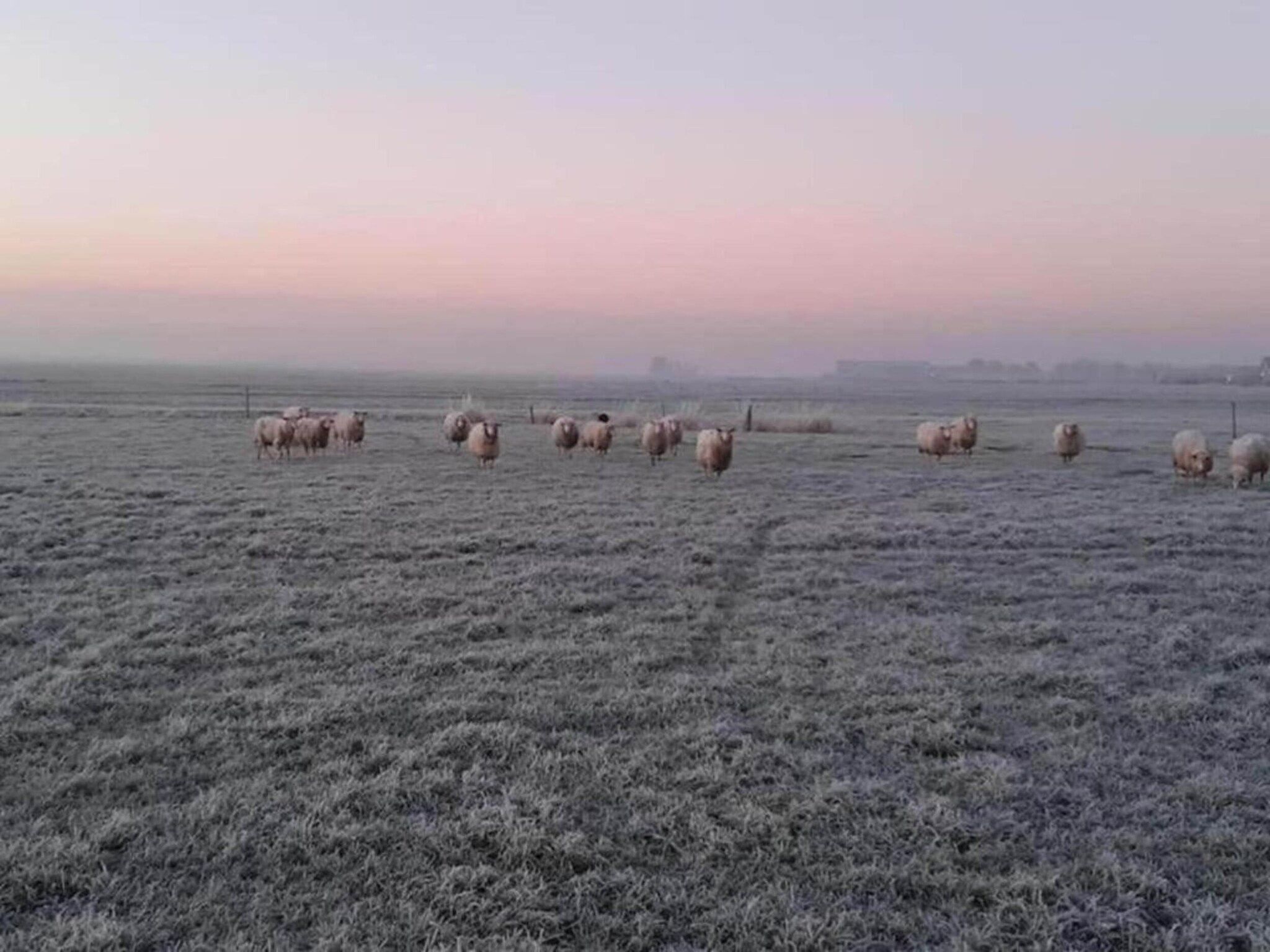 Landgoed Eysinga State 1 in Sint Nicolaasga - Foto 19 van 36