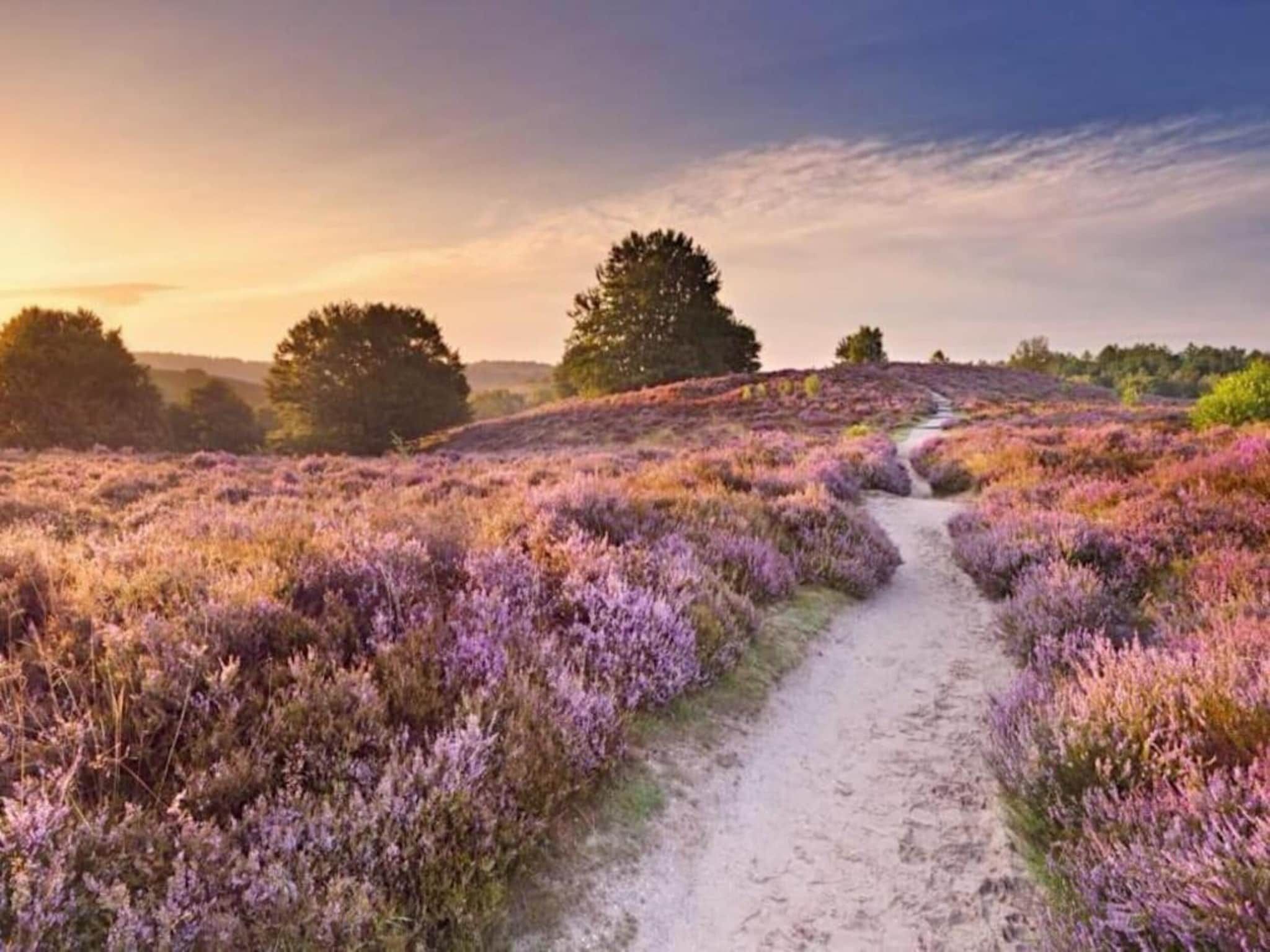 Bungalowpark Hoenderloo 2 in Hoenderloo - Foto 34 van 40