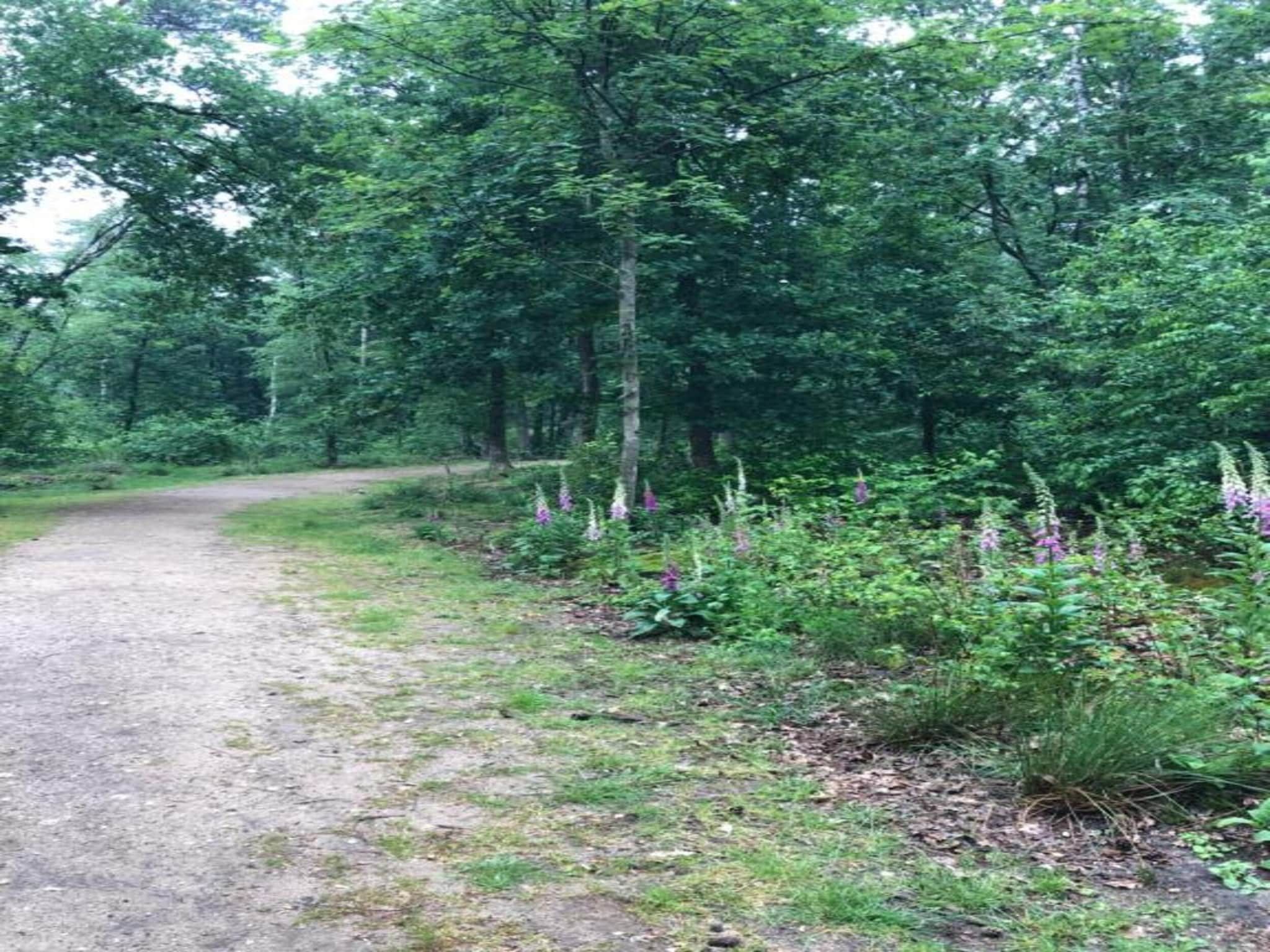 Bungalowpark Hoenderloo 1 in Hoenderloo - Foto 31 van 40