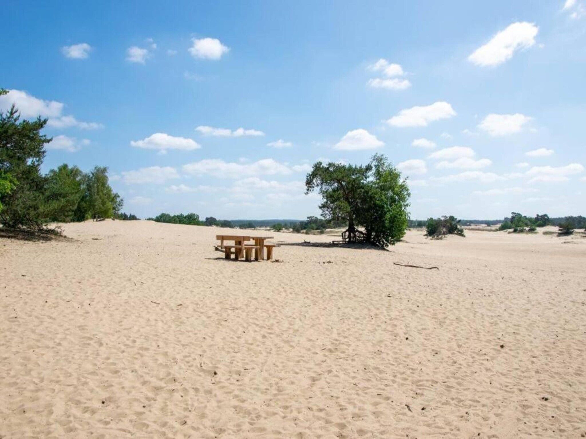 Bungalowpark Hoenderloo 1 in Hoenderloo - Foto 27 van 40