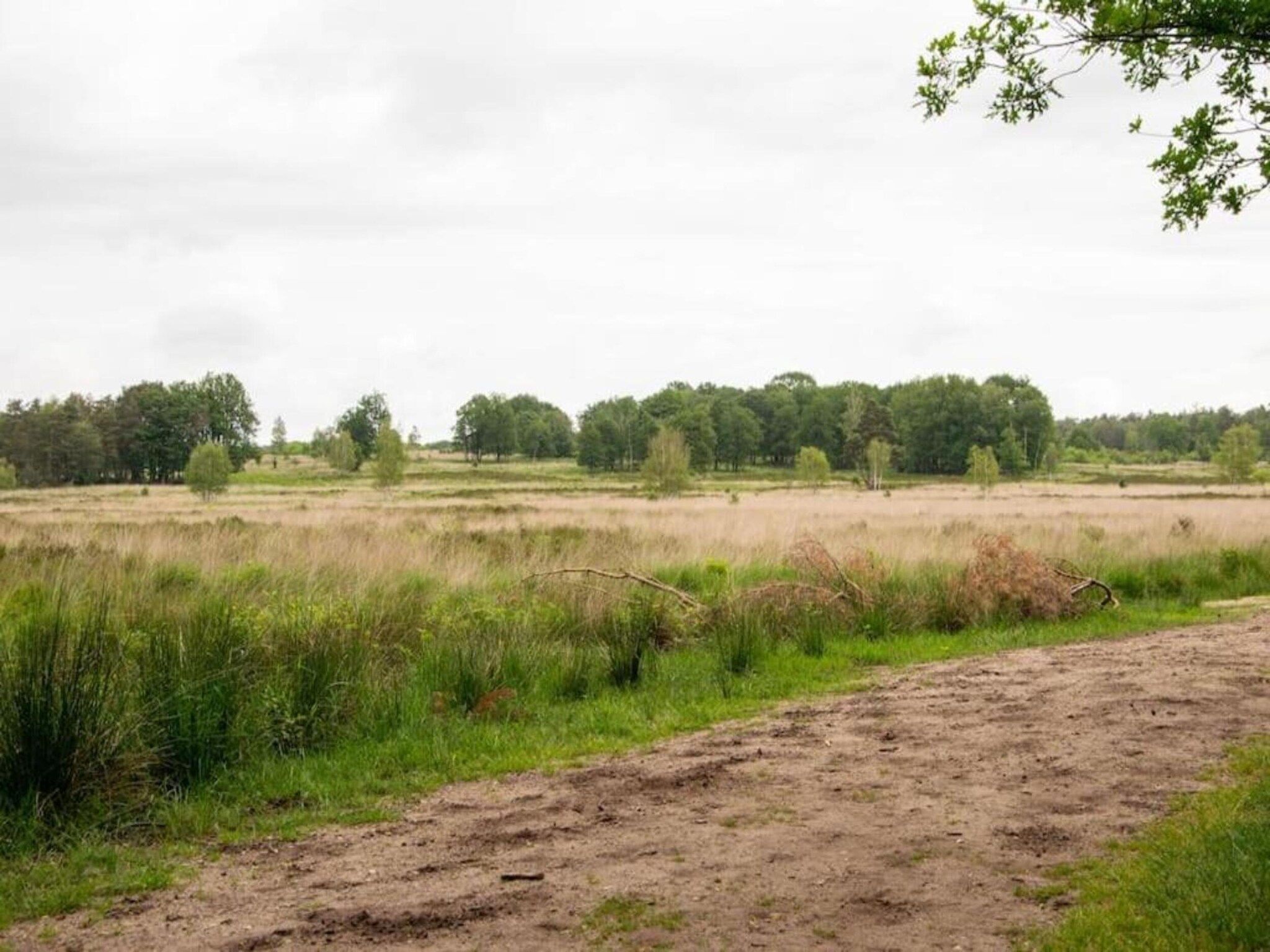 Bungalowpark Hoenderloo 1 in Hoenderloo - Foto 34 van 40