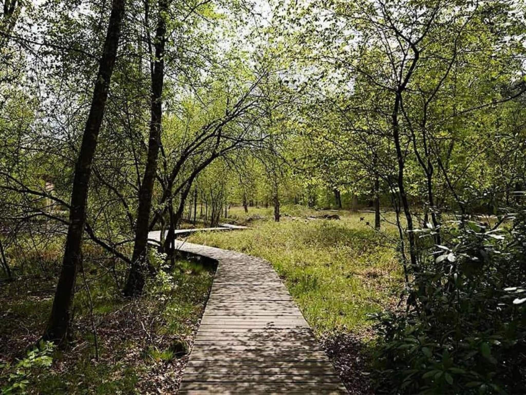 Bungalowpark Hoenderloo 1 in Hoenderloo - Foto 32 van 40