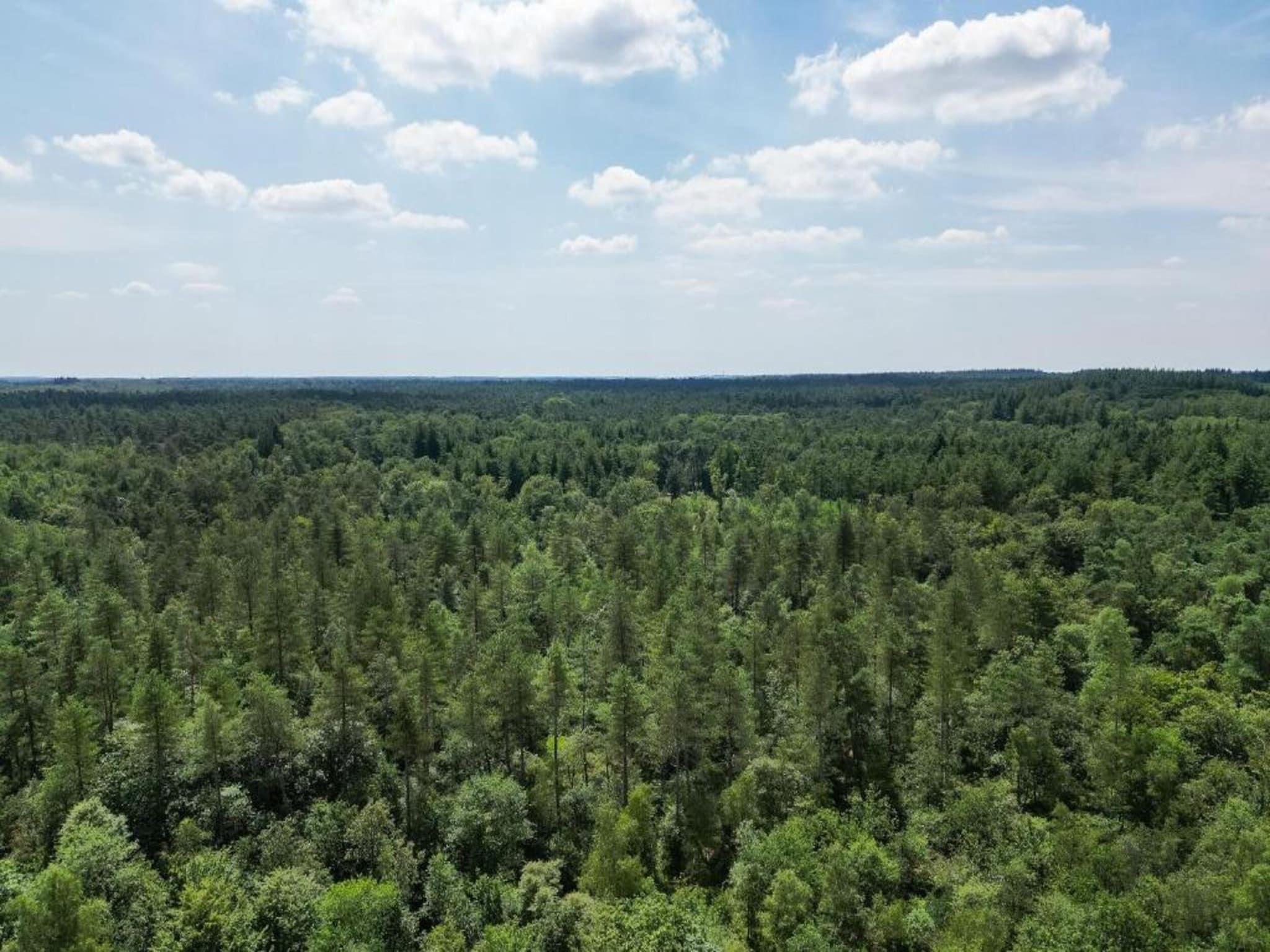 Bungalowpark Hoenderloo 1 in Hoenderloo - Foto 26 van 40