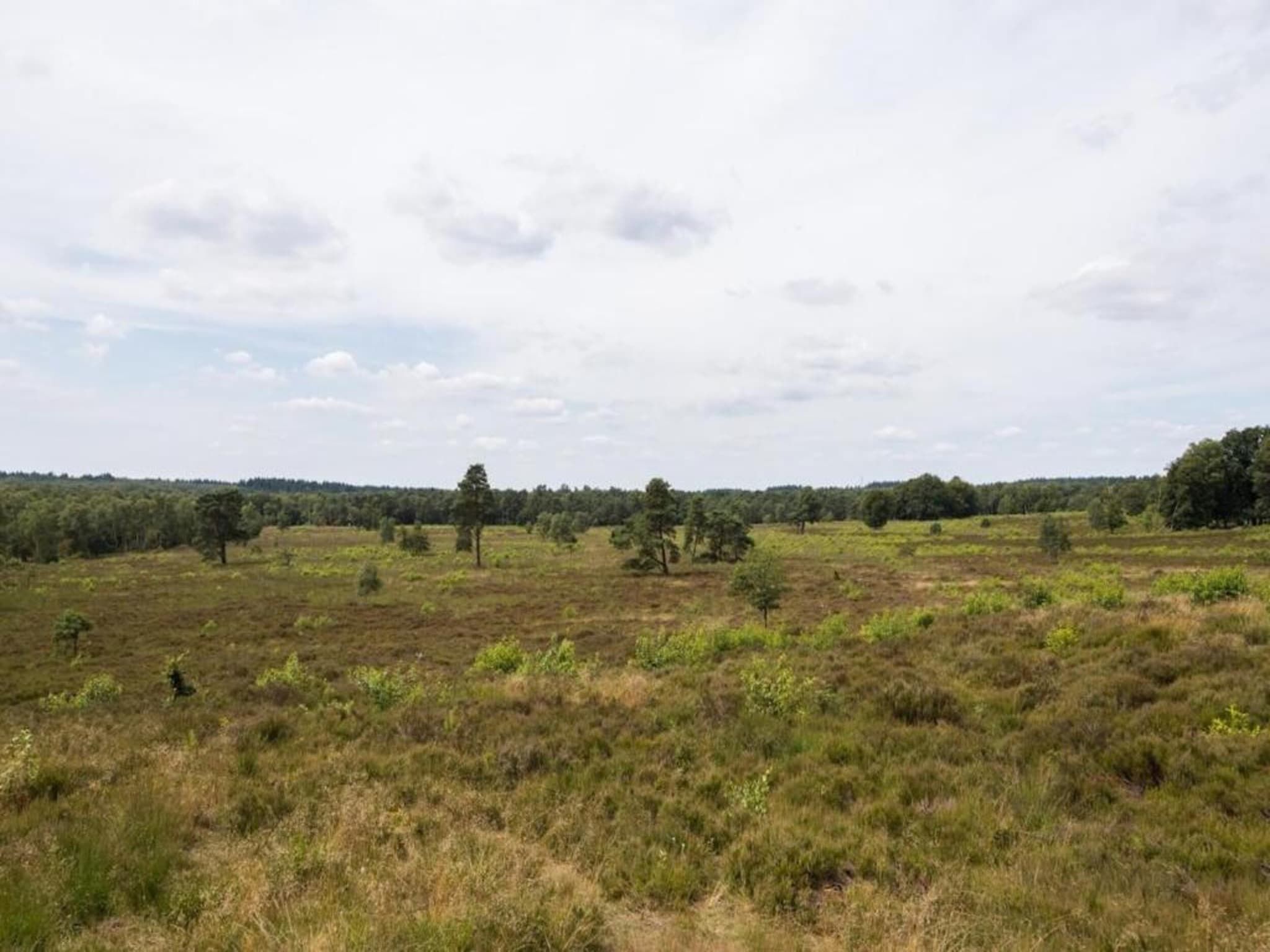 Bungalowpark Hoenderloo 1 in Hoenderloo - Foto 33 van 40