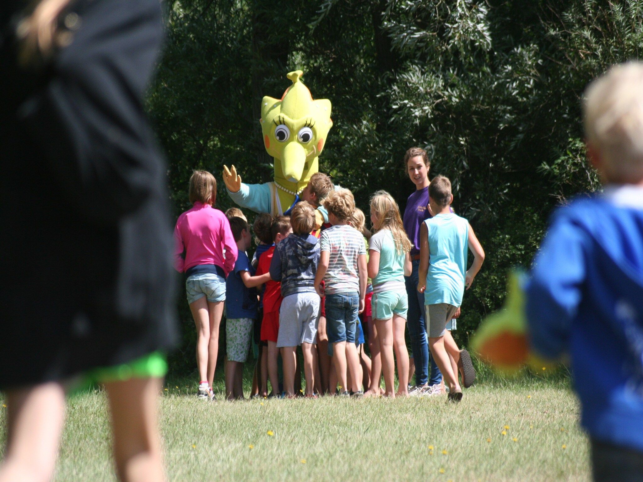 Parkfaciliteiten bij Villapark de Paardekreek 6 in Kortgene