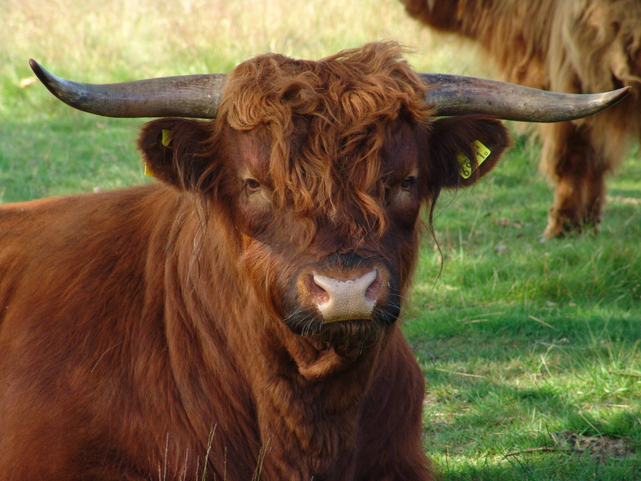 De Riethorst 1 in Plasmolen - Foto 22 van 40