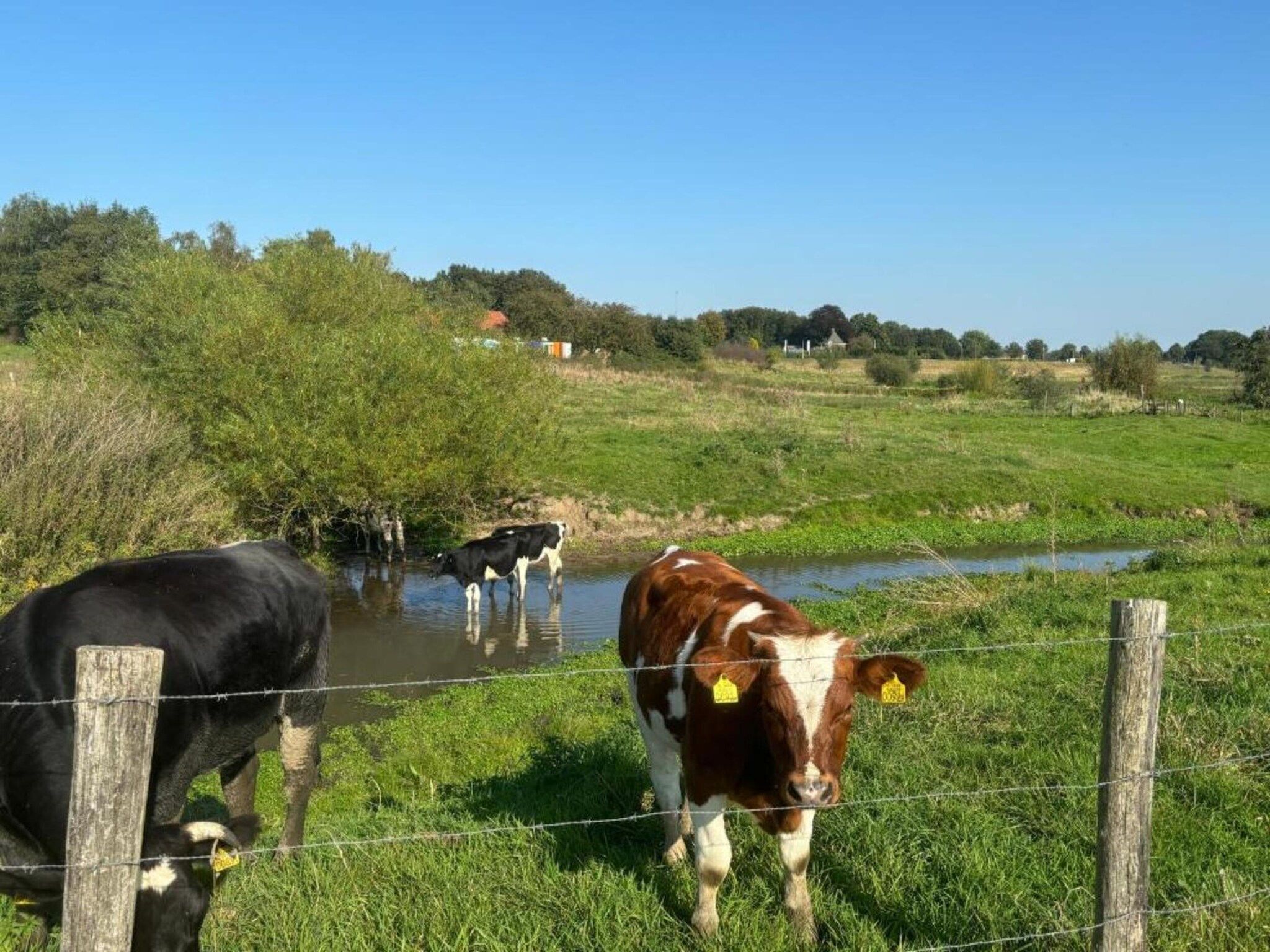 De Riethorst 2 in Plasmolen - Foto 37 van 39