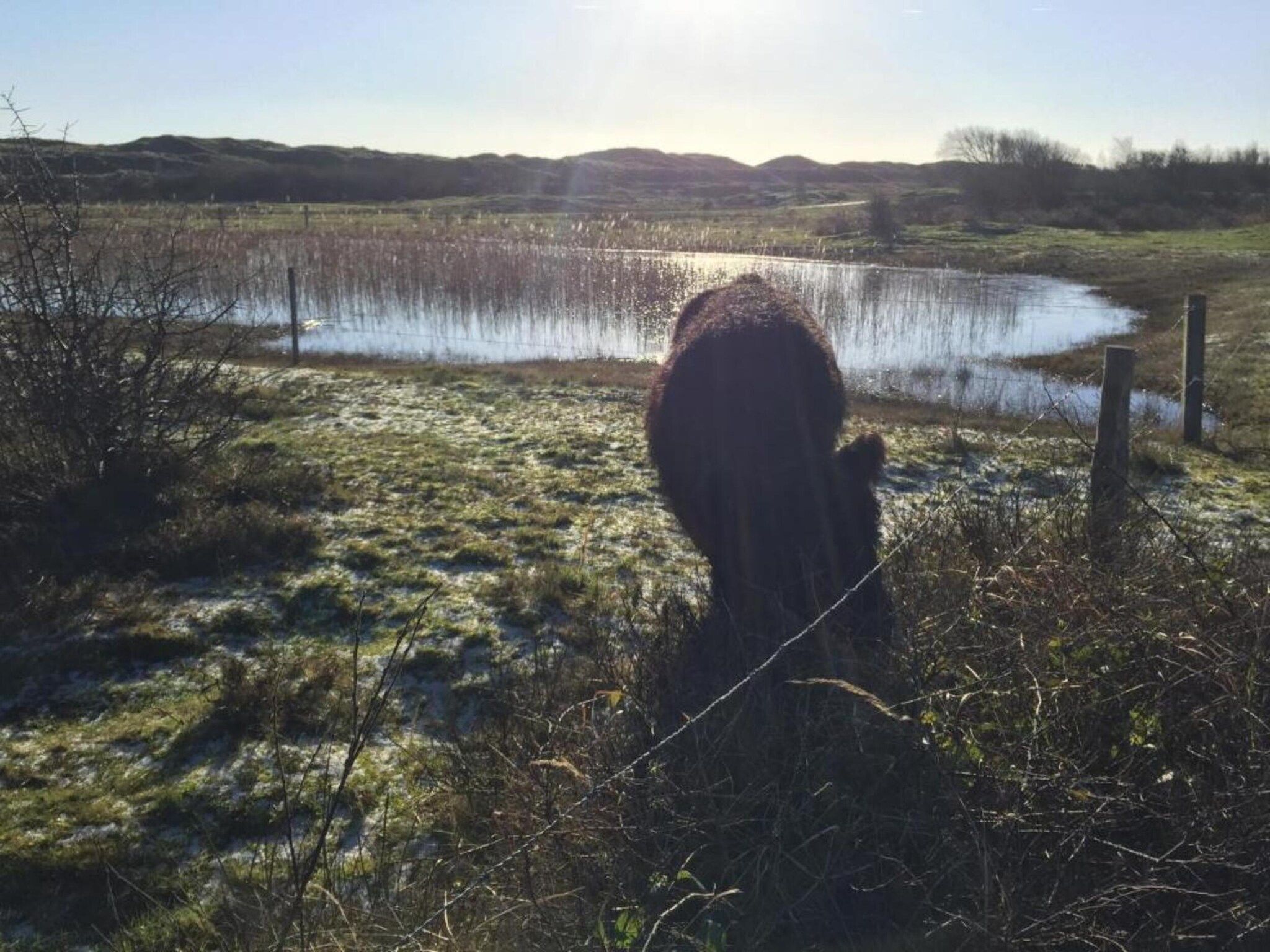 Kustpark Texel 3 in De Koog - Foto 29 van 40
