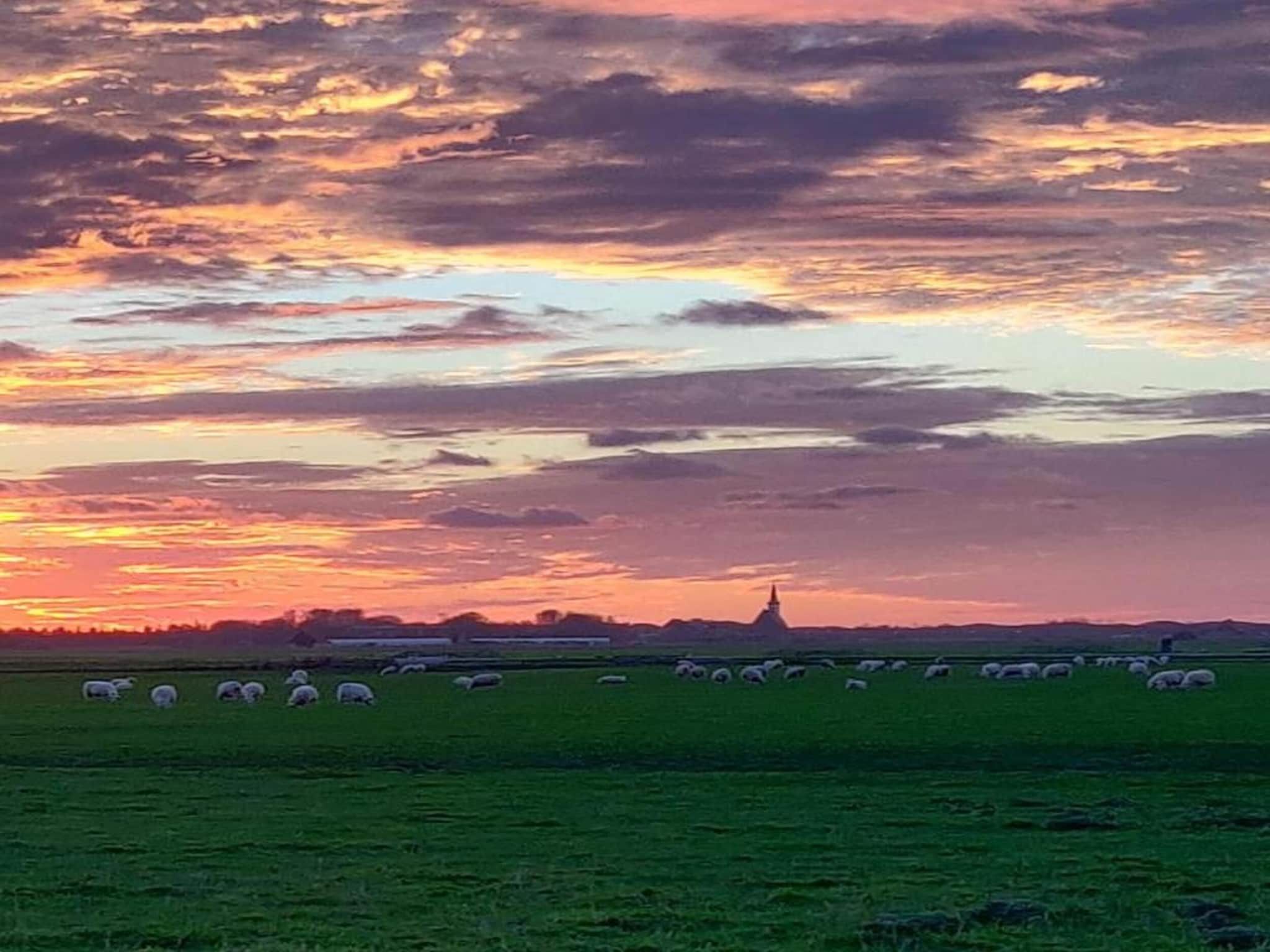 Kustpark Texel 3 in De Koog - Foto 33 van 40