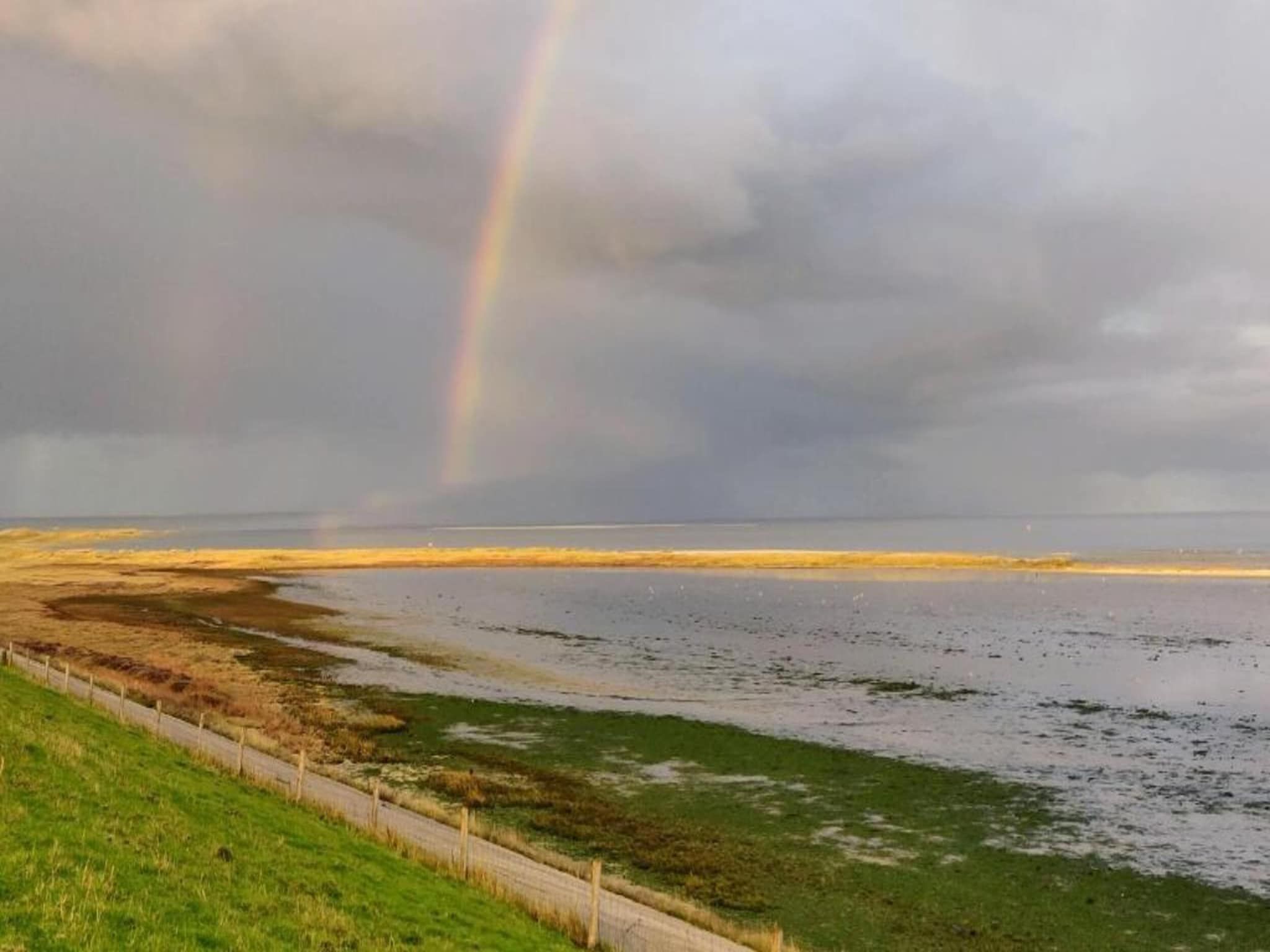 Kustpark Texel 3 in De Koog - Foto 26 van 40