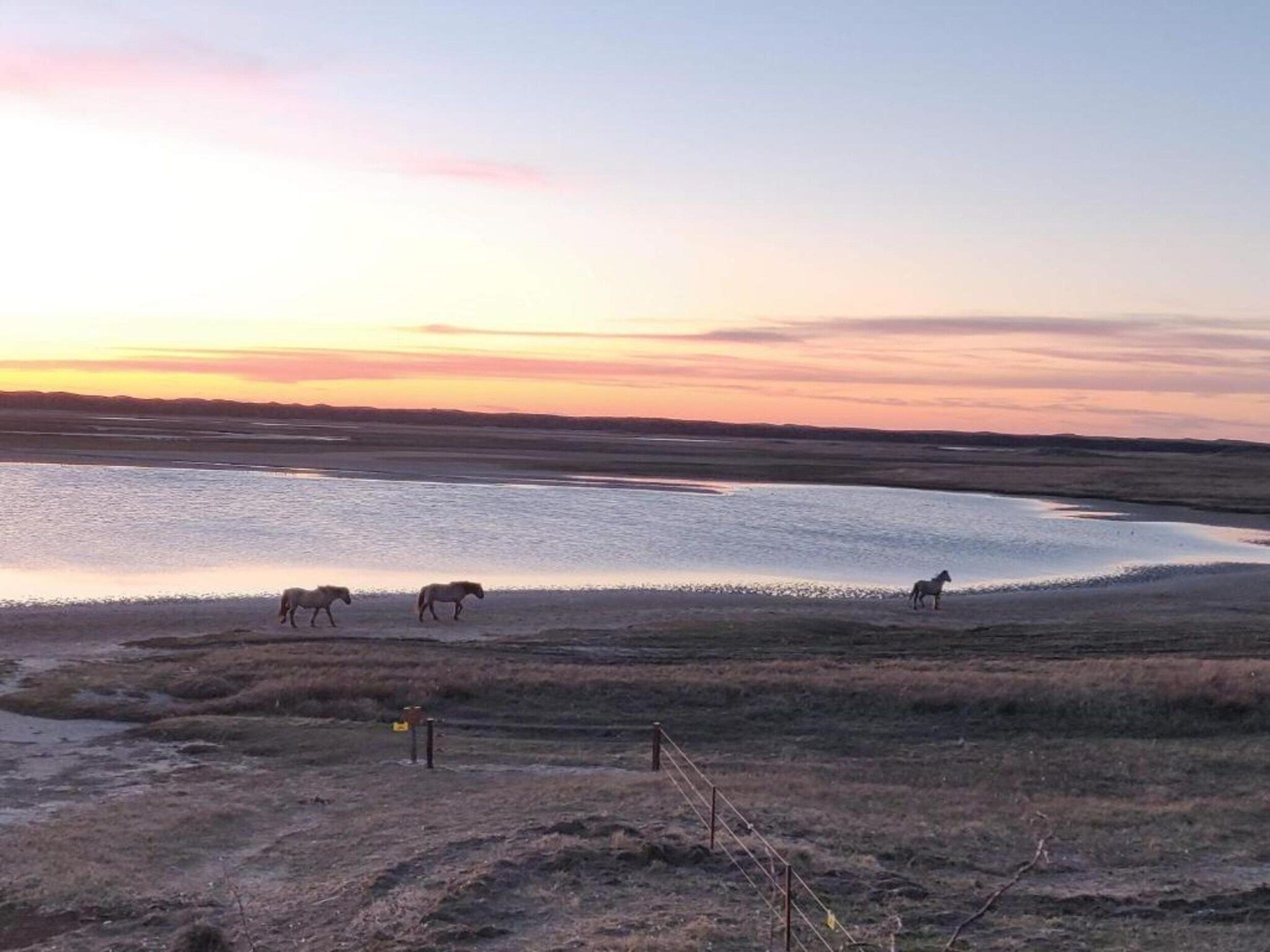 Kustpark Texel 3 in De Koog - Foto 25 van 40