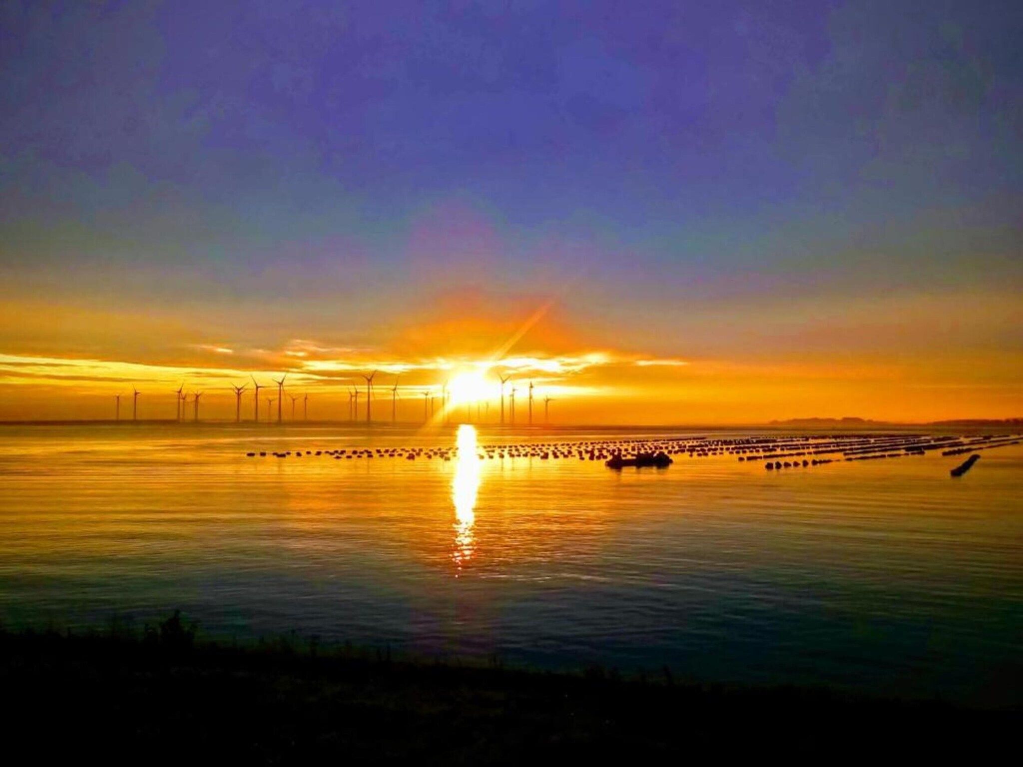 Aquadelta 22 in Bruinisse - Foto 11 van 21