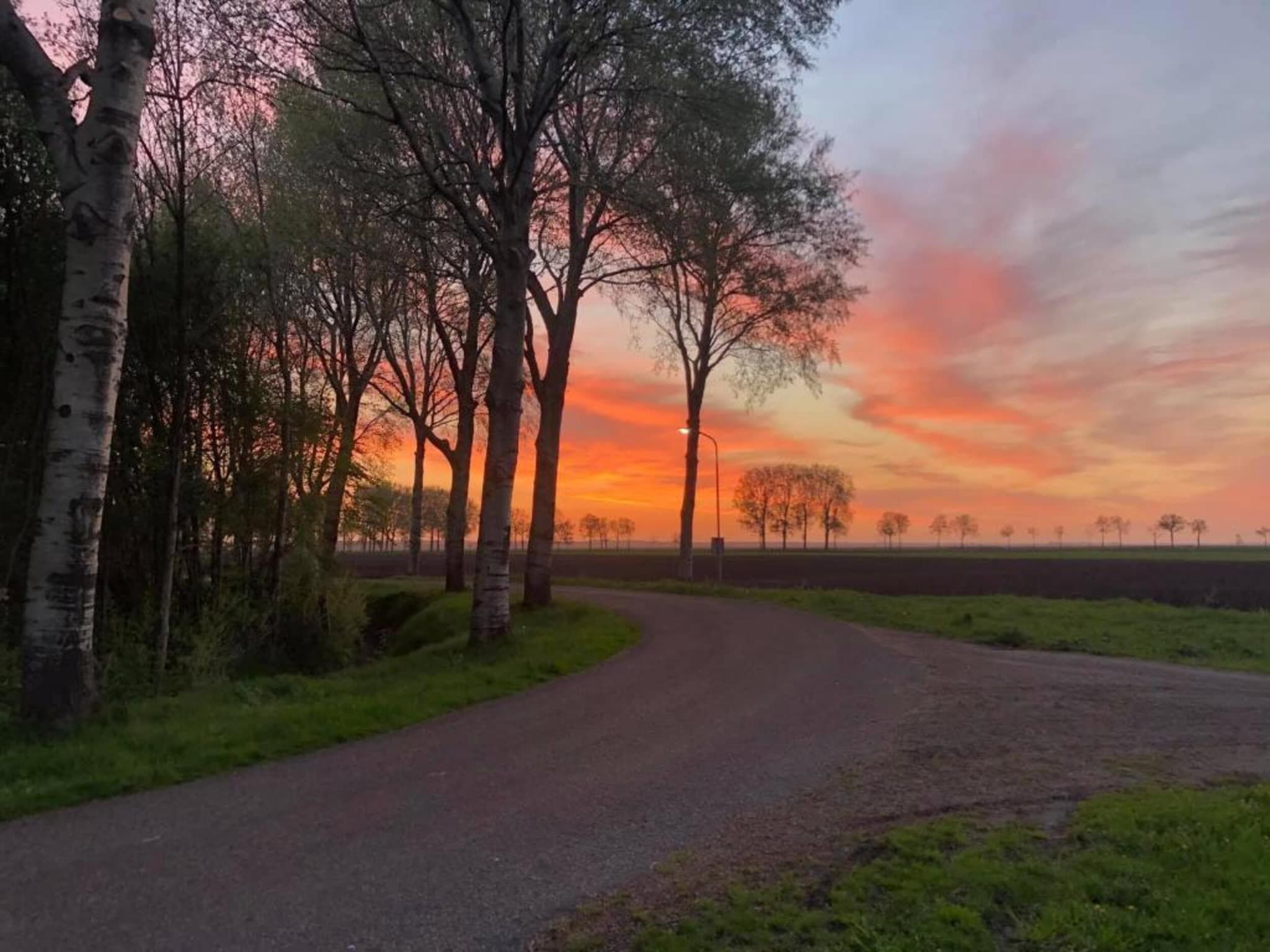 Bospark Lunsbergen 6 in Borger - Foto 33 van 40