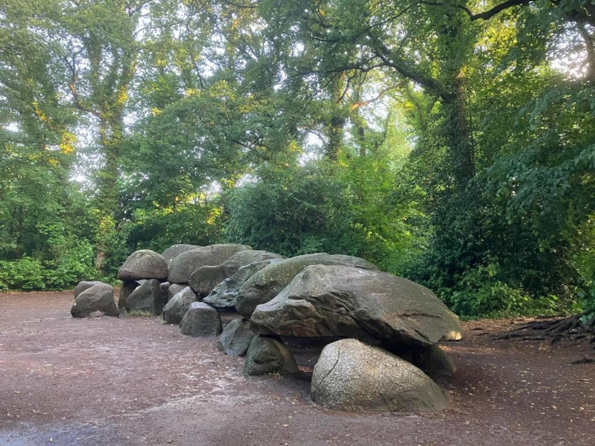 Bospark Lunsbergen 6 in Borger - Foto 23 van 40