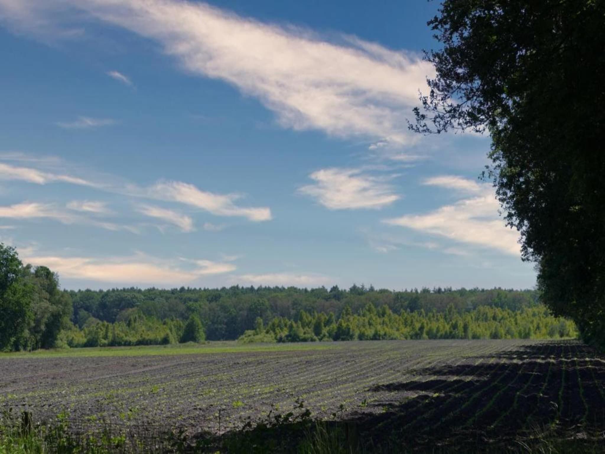 Bospark Lunsbergen 6 in Borger - Foto 34 van 40