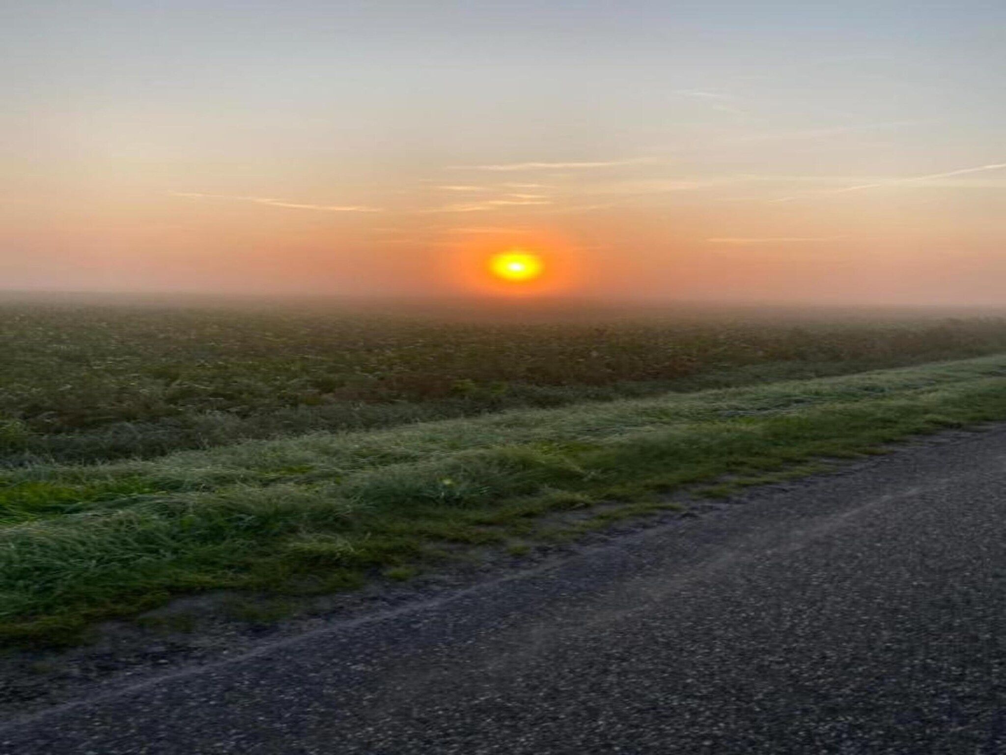 Bospark Lunsbergen 7 in Borger - Foto 33 van 36