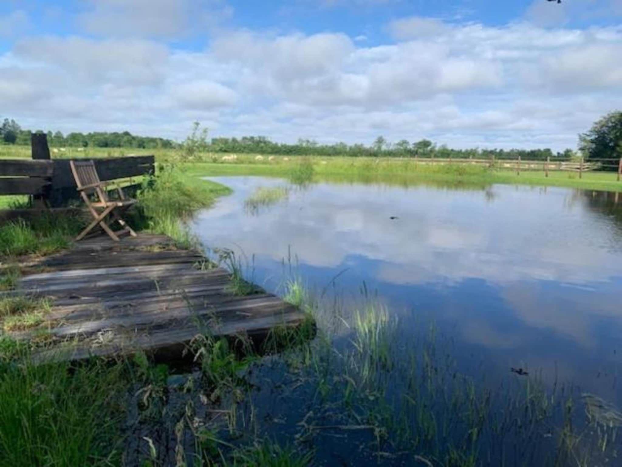 Recreatiepark Wiringherlant  - Villa 10 in Hippolytushoef - Foto 32 van 40