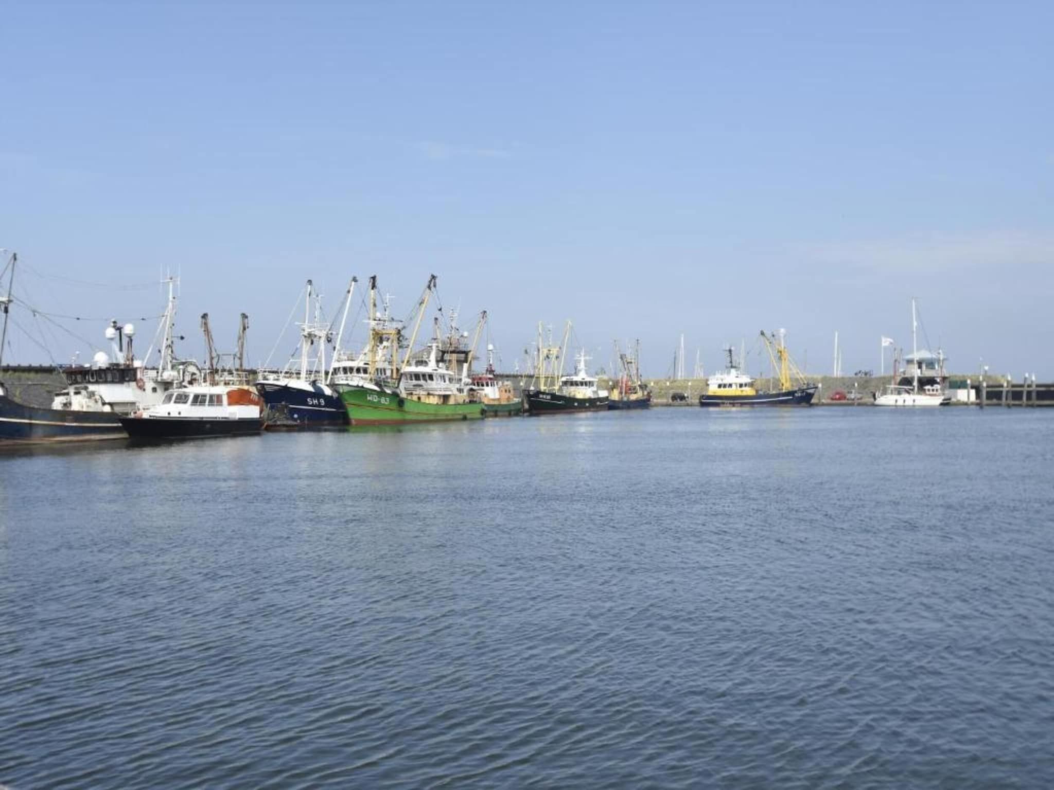 Recreatiepark Wiringherlant  - Villa 10 in Hippolytushoef - Foto 28 van 40