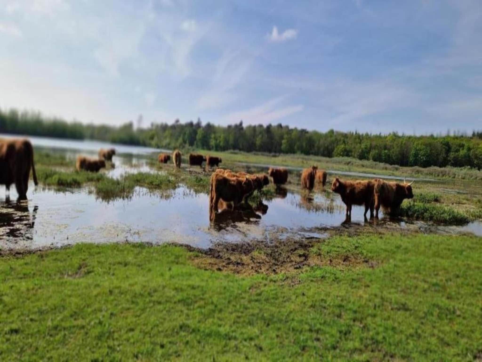 Recreatiepark Wiringherlant  - Villa 10 in Hippolytushoef - Foto 34 van 40