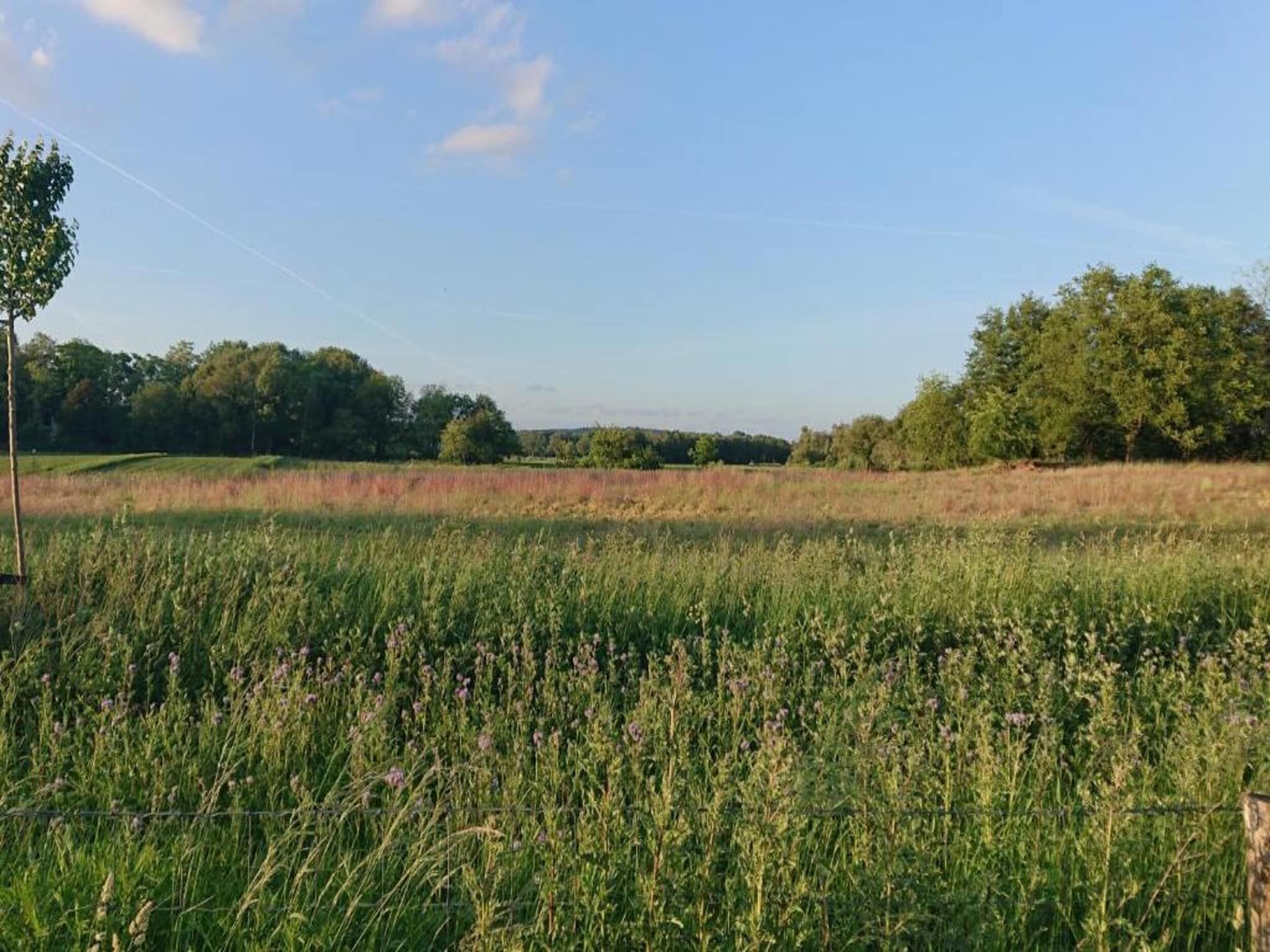 Vakantie bij Meeussen - Molendal 1 in Plasmolen - Foto 36 van 40