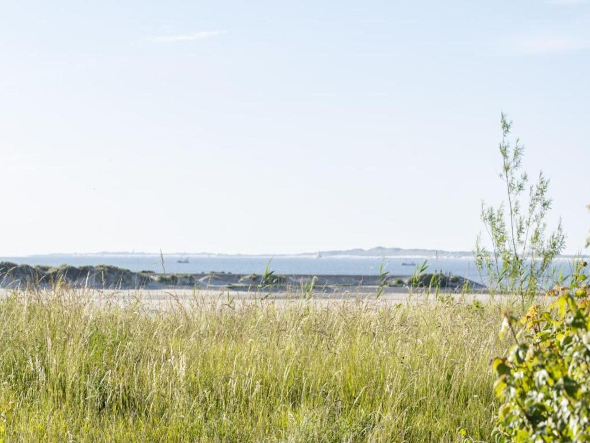 De omgeving van Vakantiepark Zeebad 2 in Breskens
