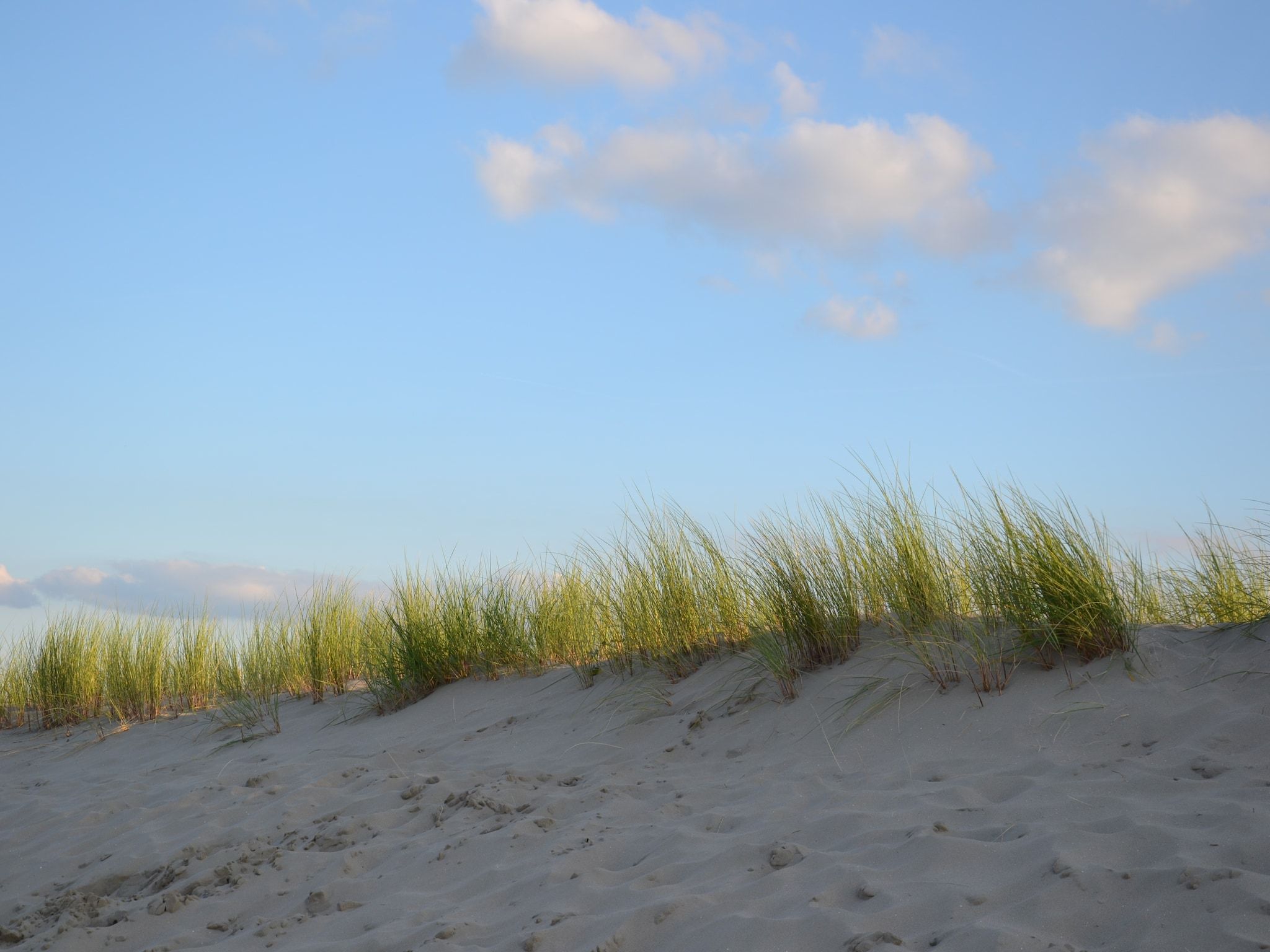 Strandpark Vlugtenburg 5 in 's-Gravenzande - Foto 30 van 40