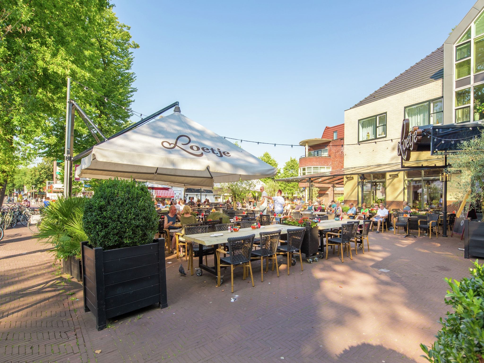 De omgeving van Kustpark Egmond aan Zee 4 in Egmond aan zee