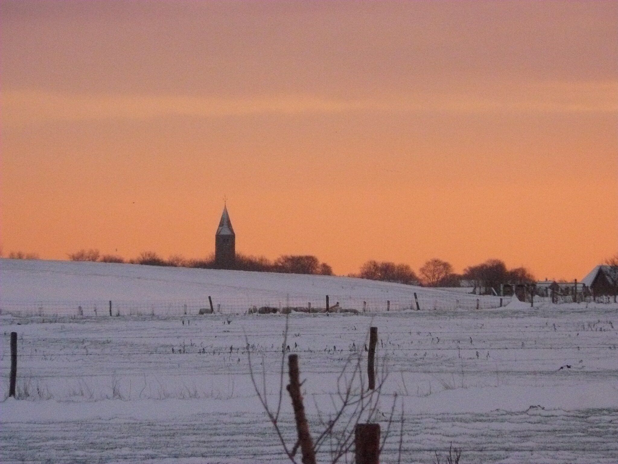 Recreatiepark Wiringherlant - Villa 14 in Hippolytushoef - Foto 39 van 40