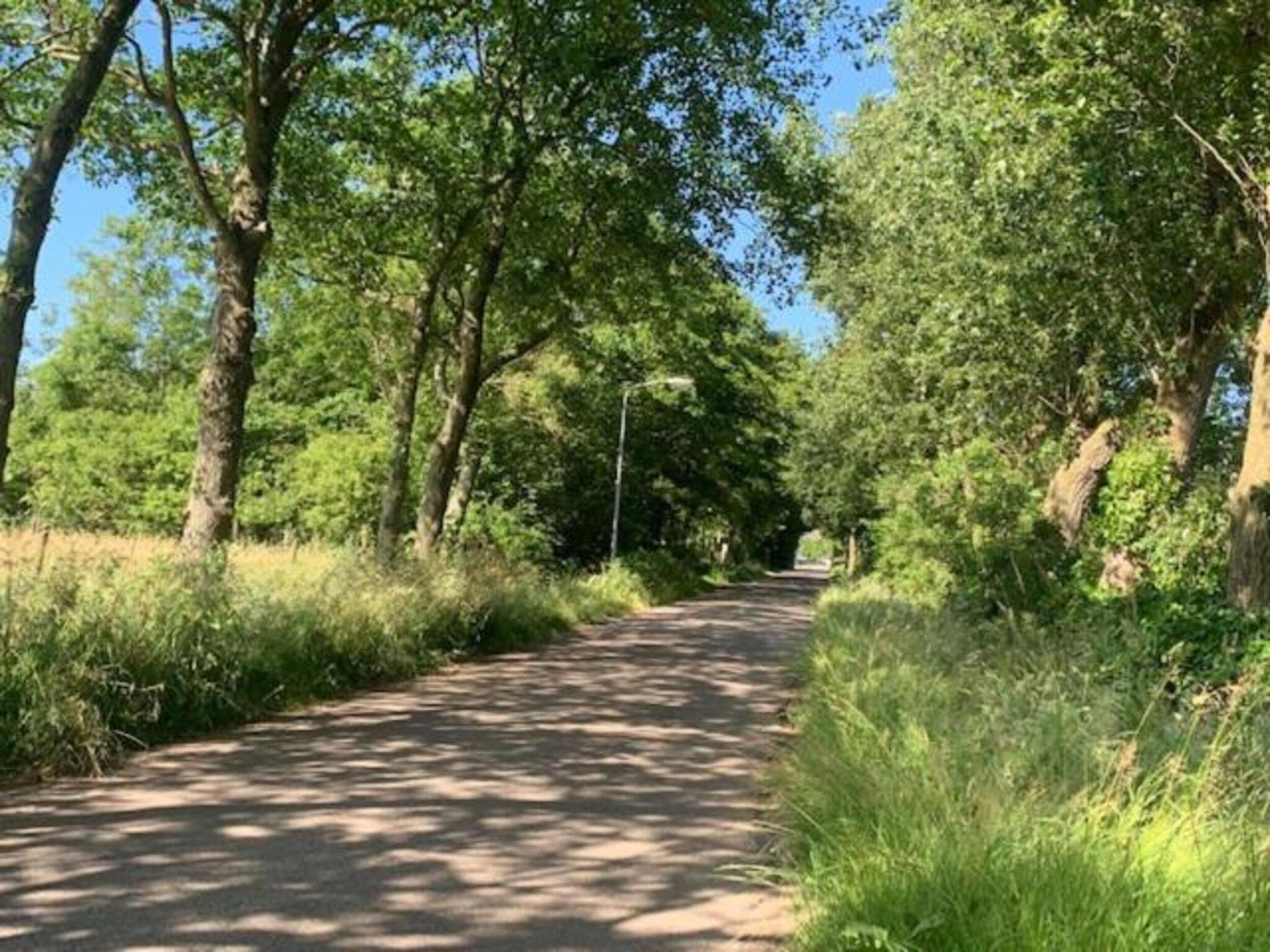 Recreatiepark Wiringherlant - Villa 14 in Hippolytushoef - Foto 31 van 40