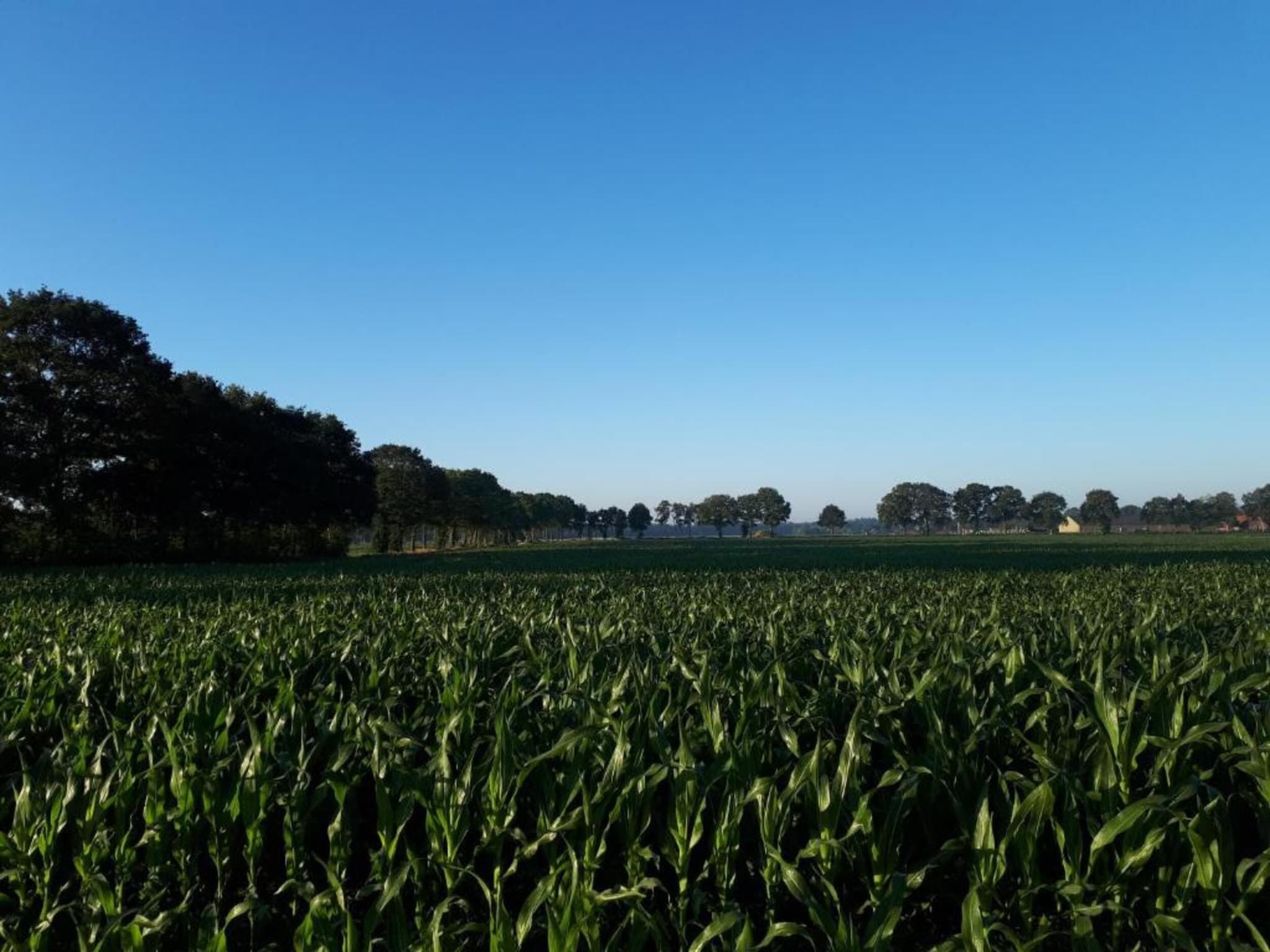 Buitenplaats Gerner 5 in Dalfsen - Foto 29 van 37