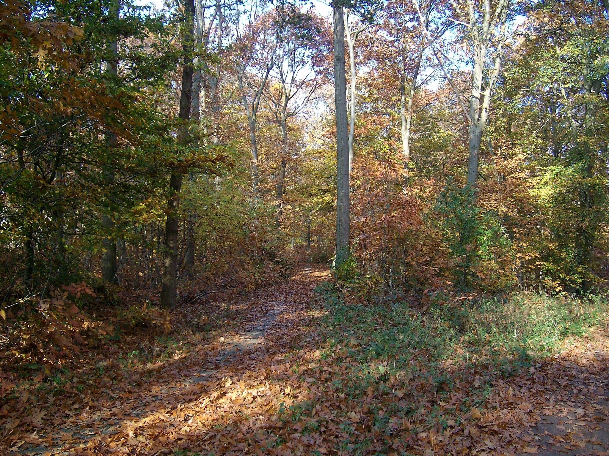 Vakantiepark Horsetellerie 1 in Hardenberg (rheezerveen) - Foto 31 van 42