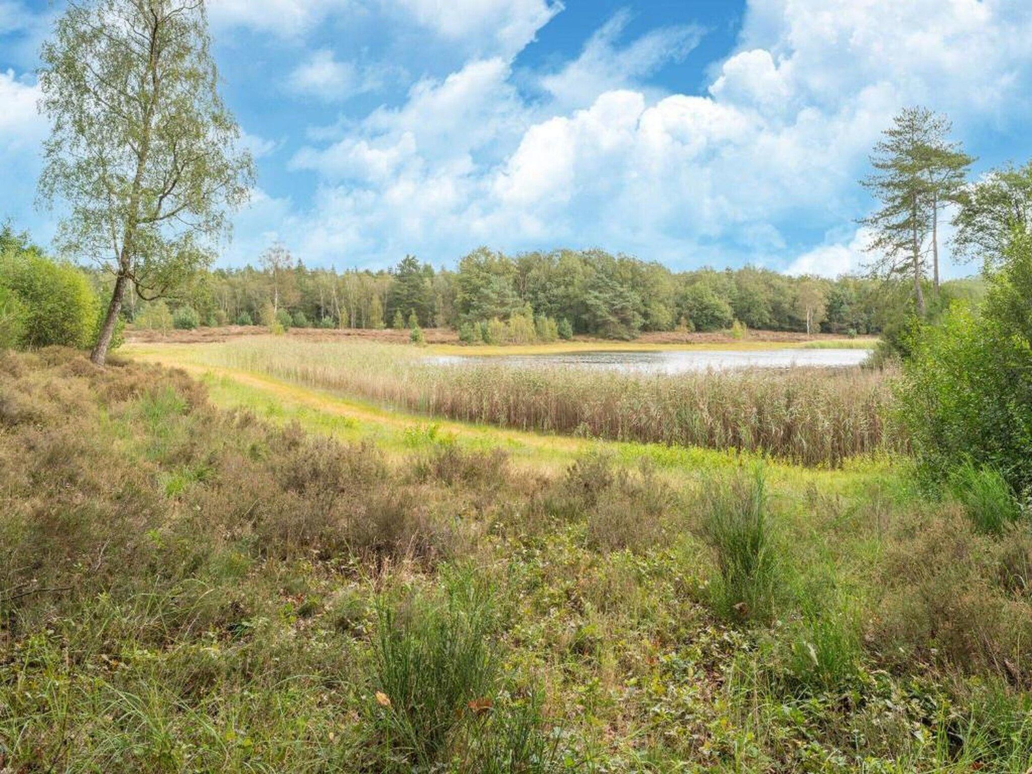 Vakantiepark Horsetellerie 1 in Hardenberg (rheezerveen) - Foto 38 van 42