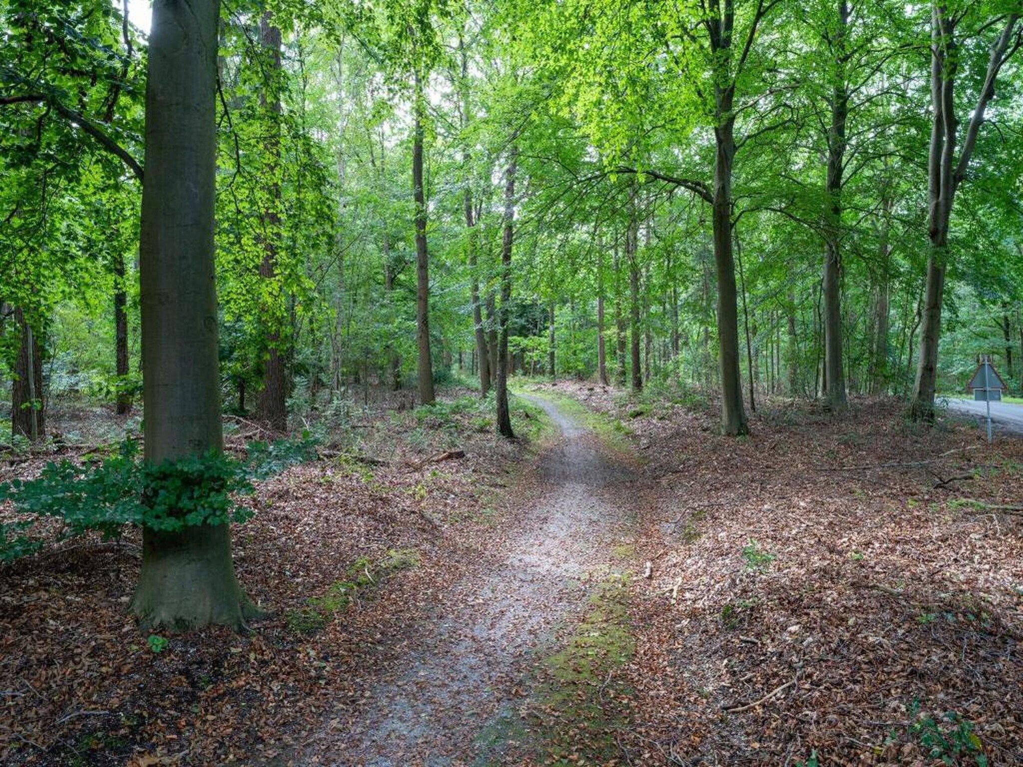 Vakantiepark Horsetellerie 1 in Hardenberg (rheezerveen) - Foto 40 van 42