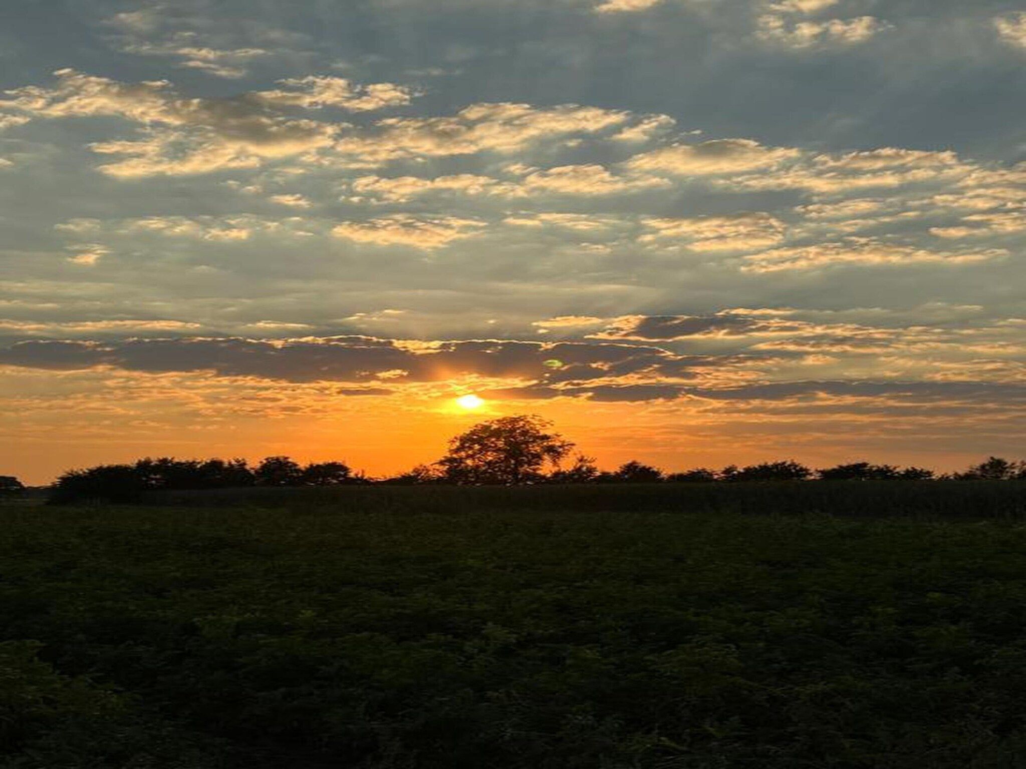 Vakantiepark Horsetellerie 1 in Hardenberg (rheezerveen) - Foto 41 van 42