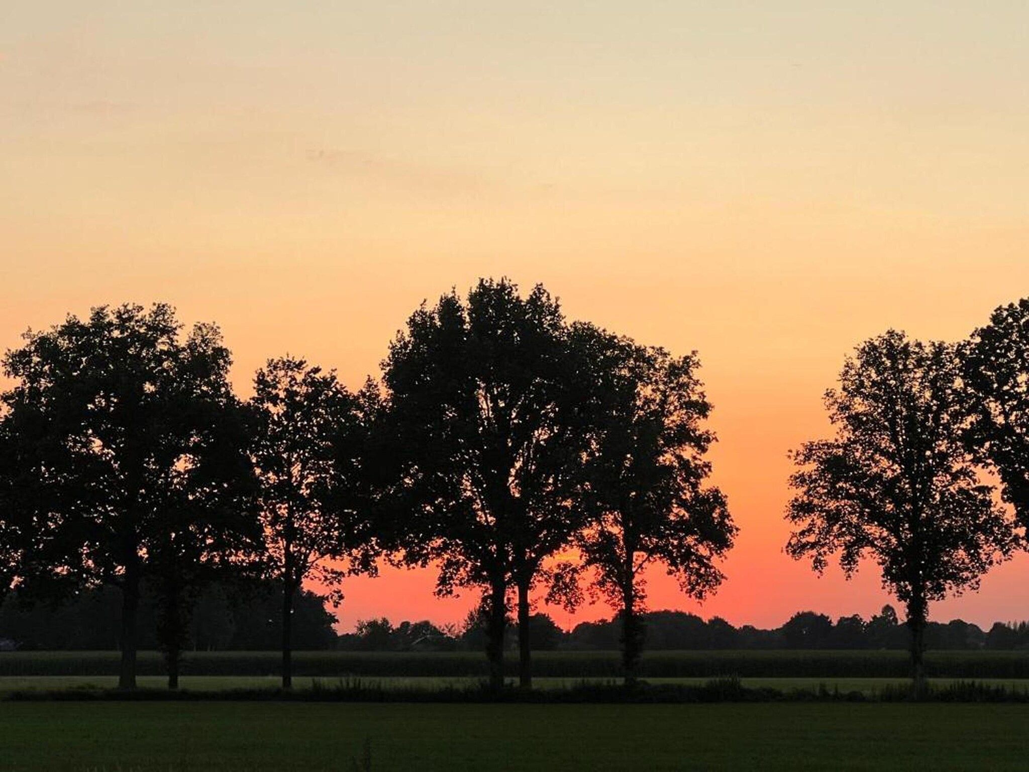 Vakantiepark Horsetellerie 1 in Hardenberg (rheezerveen) - Foto 42 van 42