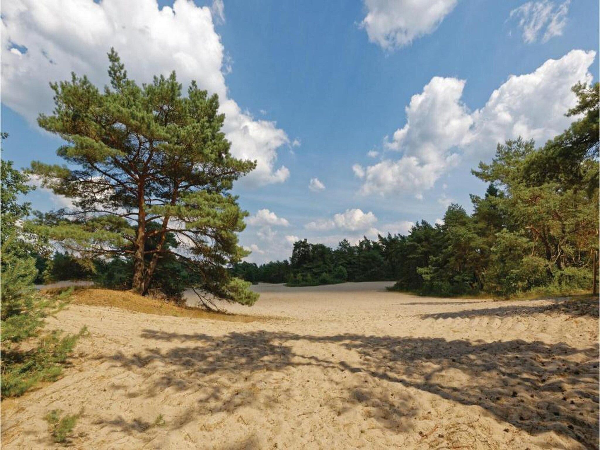 Vakantiepark Horsetellerie 1 in Hardenberg (rheezerveen) - Foto 33 van 42